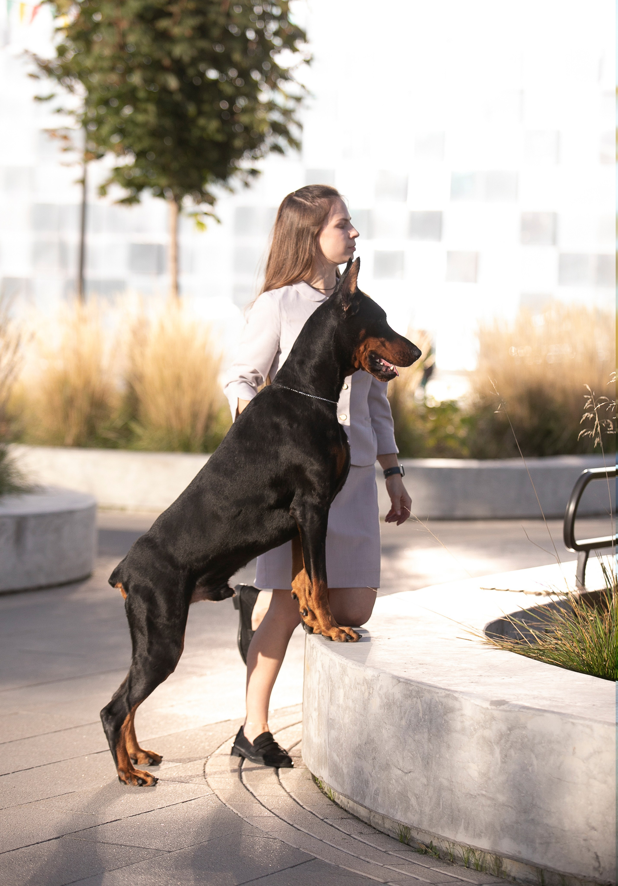 Авторские пресеты для обработки фото. Фотограф — видеограф Алиса Дружинина