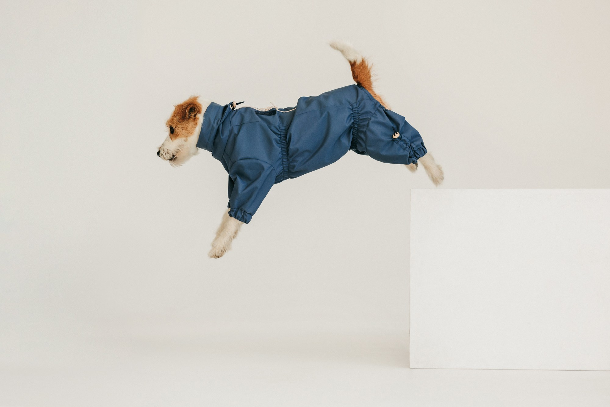 Одежда Lapa`s brand. Фотограф-анималист Елена Радченко, Москва