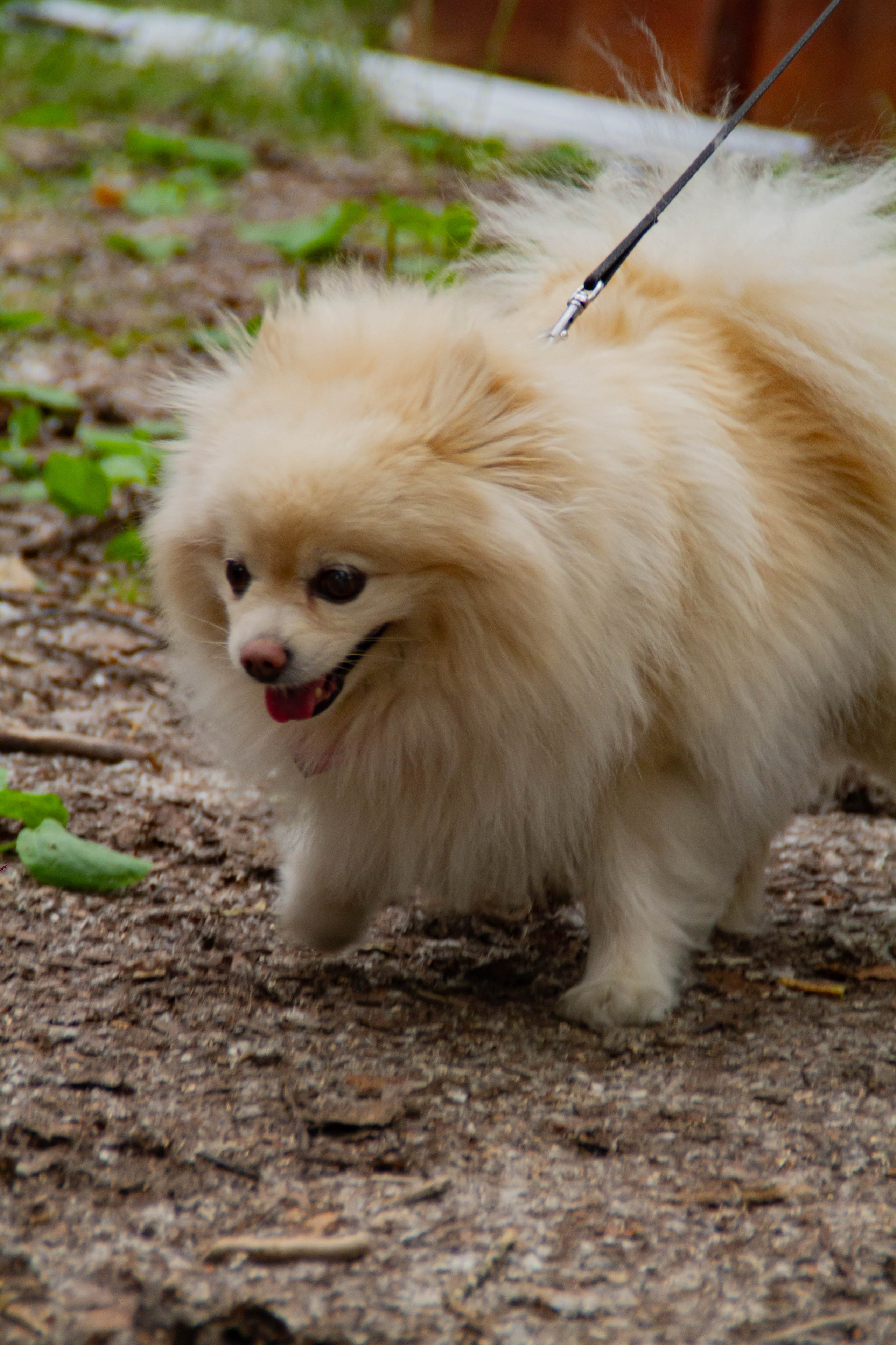 Ural Music Night 2025 х Inclusive Event