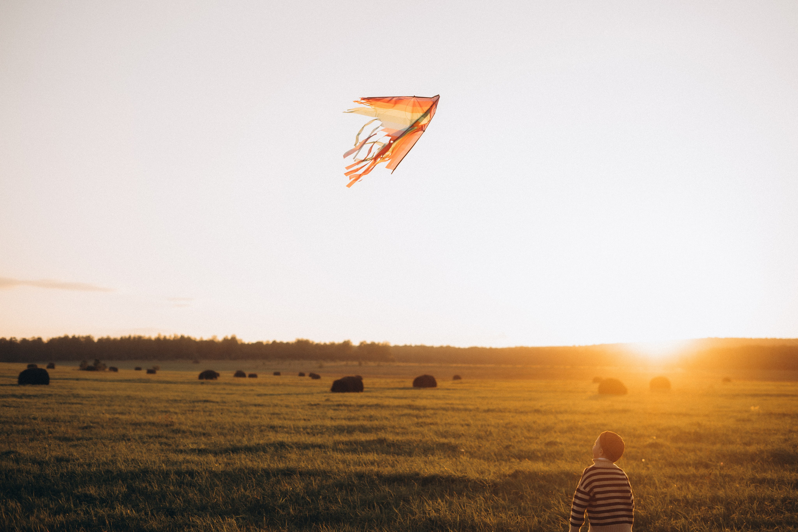 Вероника, Денис, Мирон и Марк. Главная
