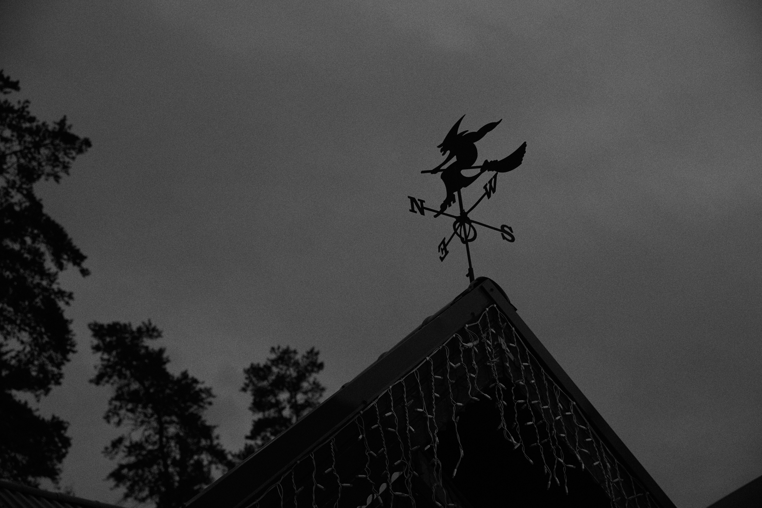 Жемчуг. Фотограф Елена Краснопевцева