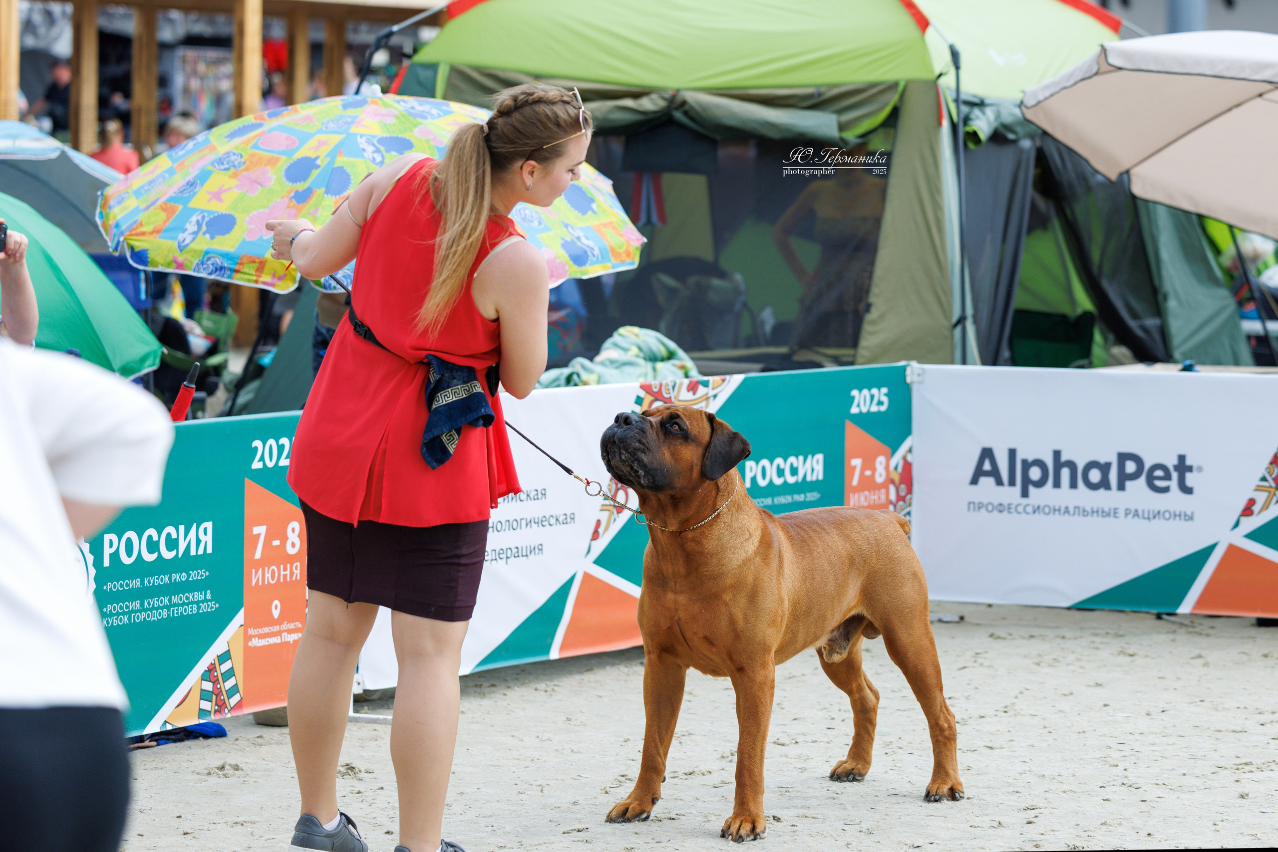 РОССИЯ 7-8.06.2025. Фотограф-анималист Юлия Германика