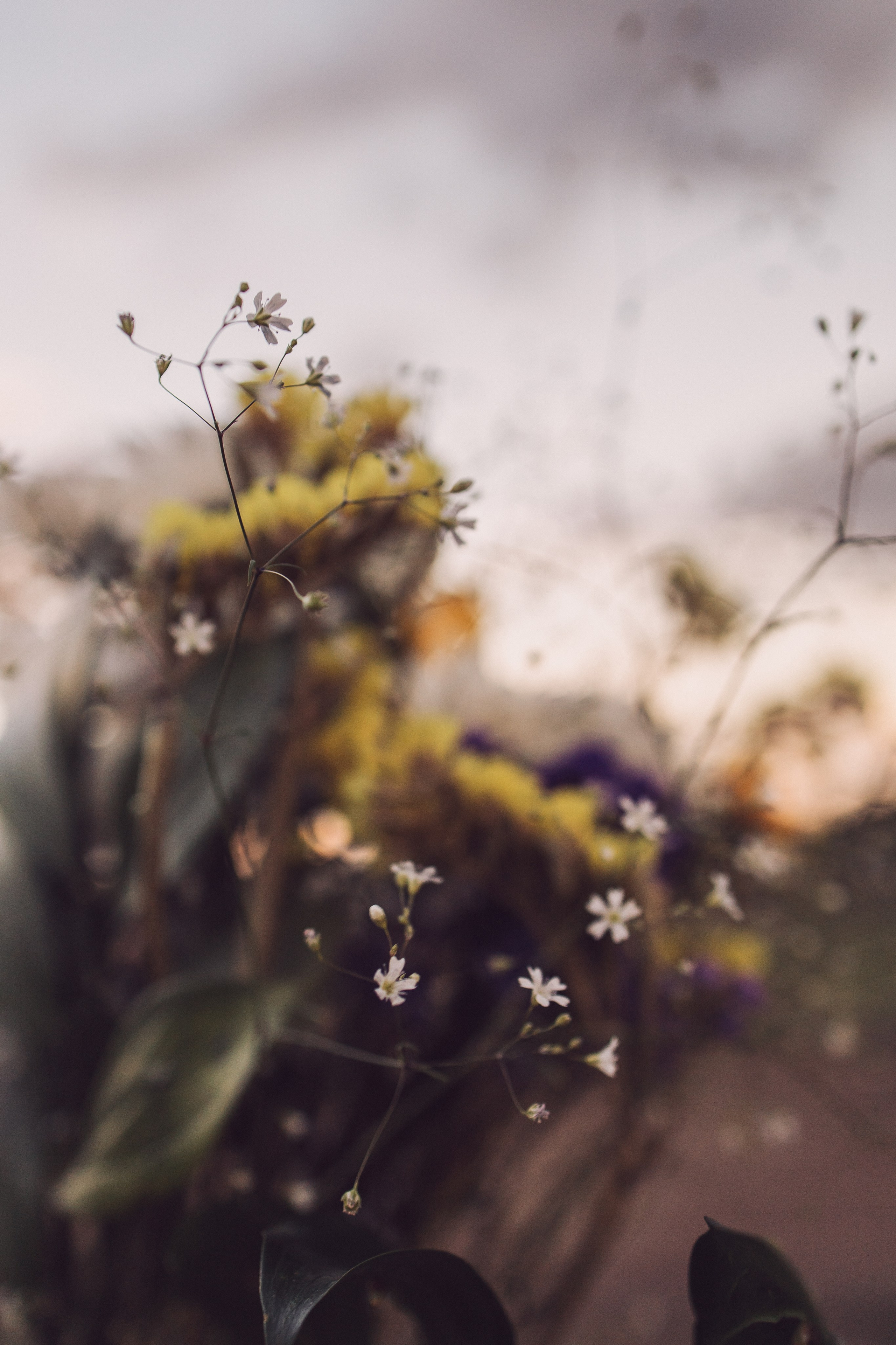 Светилька / Тбилиси. Фотограф Наталья Гончарова. Снимаю живые портреты в Алматы