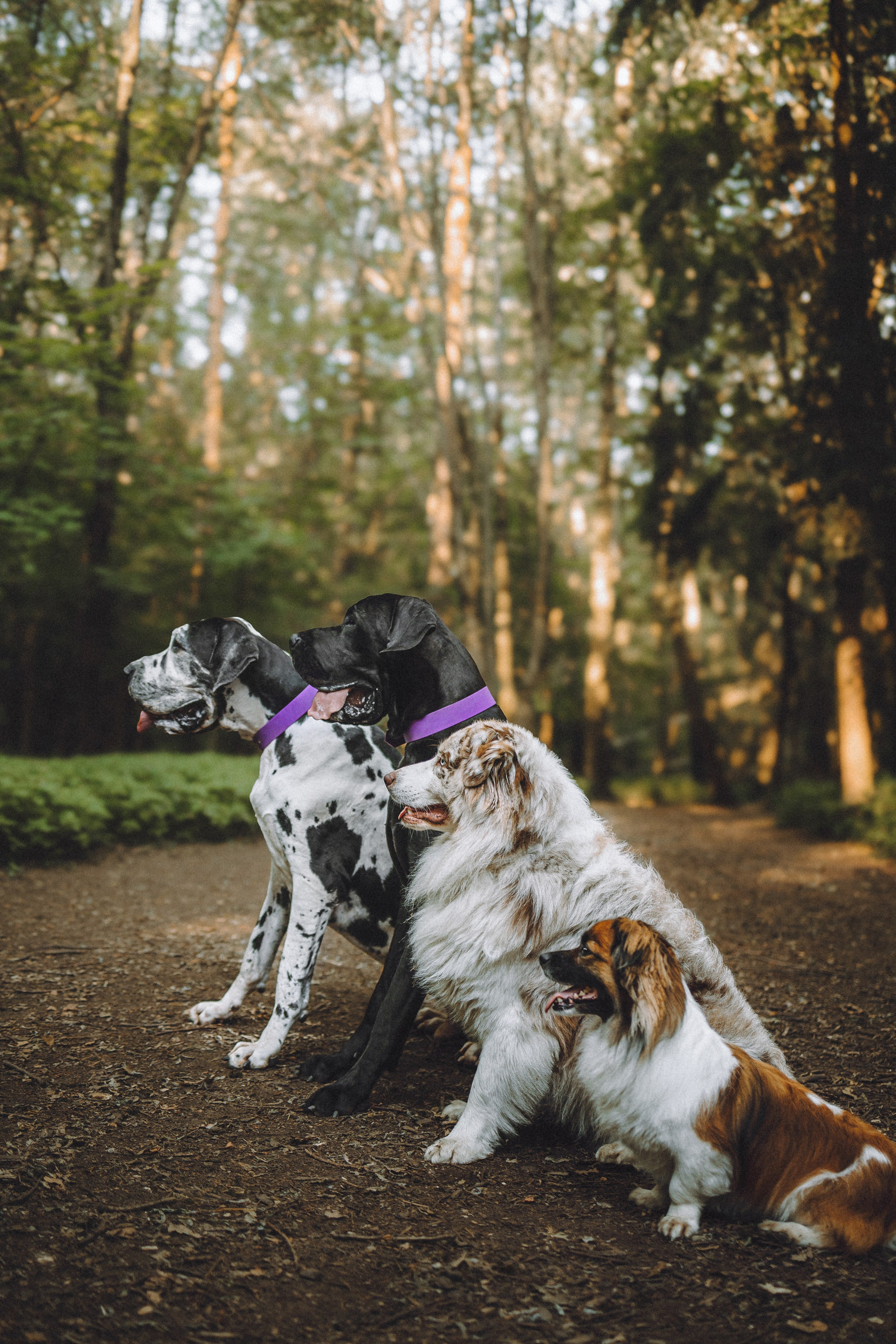 Катя, Андрей, Гектор, Ричи, Тортик и Трой