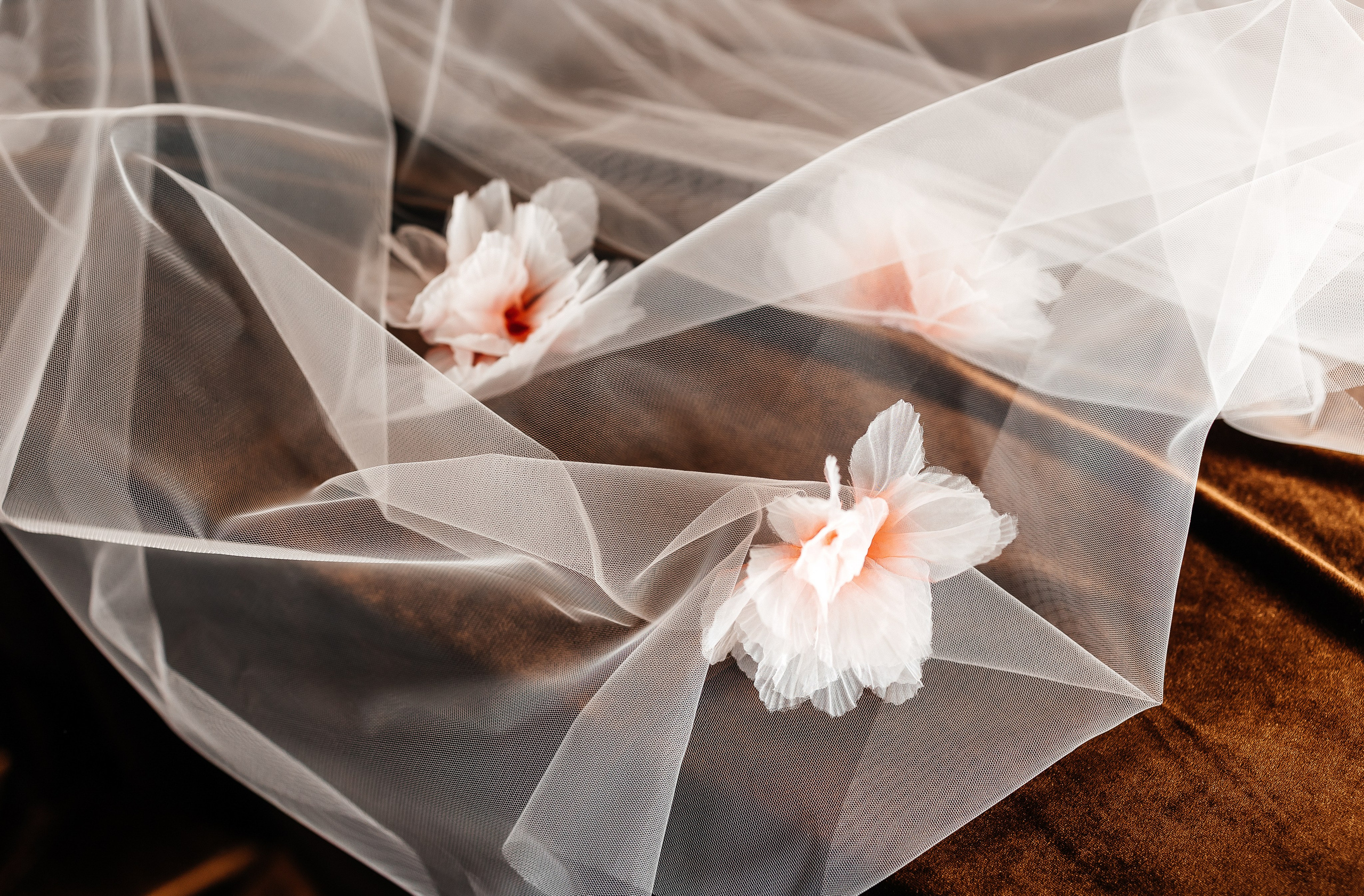 Максим & Алина I 12.09.25. Свадебный и семейный фотограф в Омске Евгения Хакимова