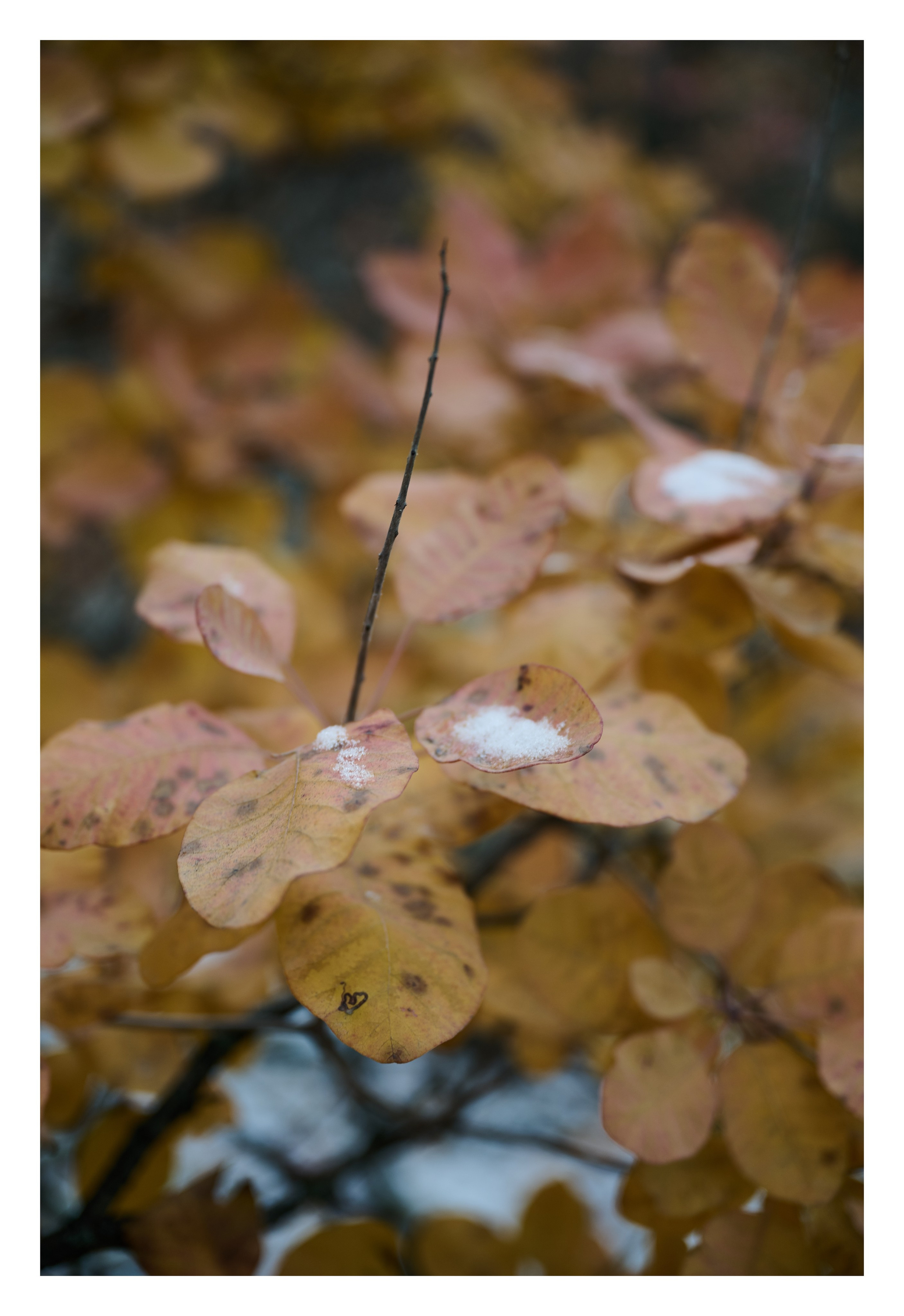 Фотопринты А3. Фотопроект «Территории»