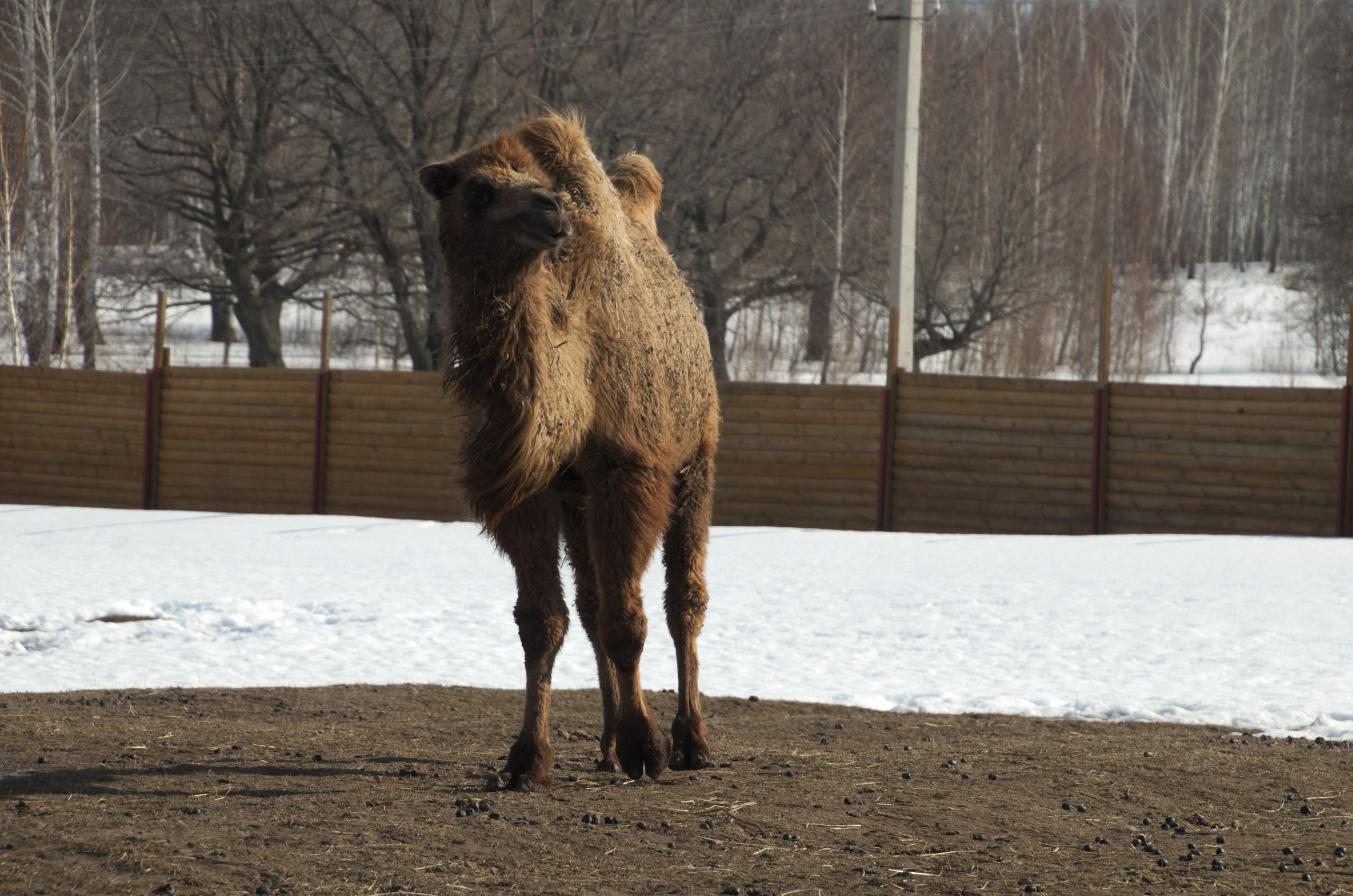 Казань | 24-26.03.2017. Галерея Фантим