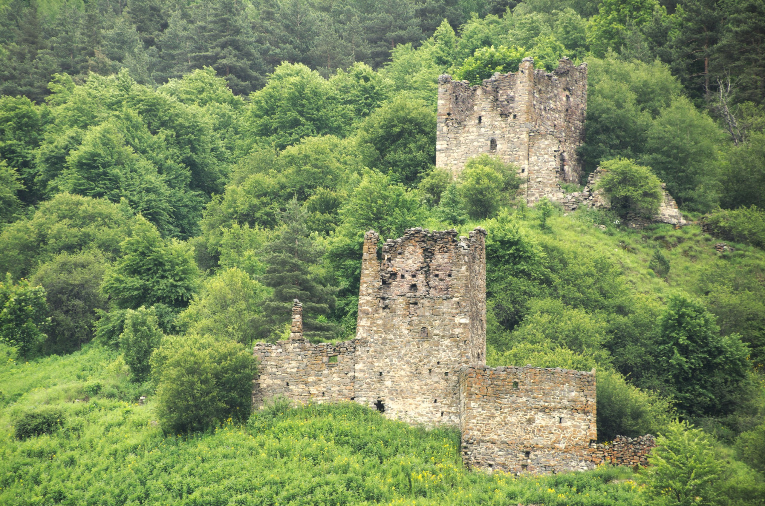 Чечня+Ингушетия | 10-12.06.2017. Галерея Фантим