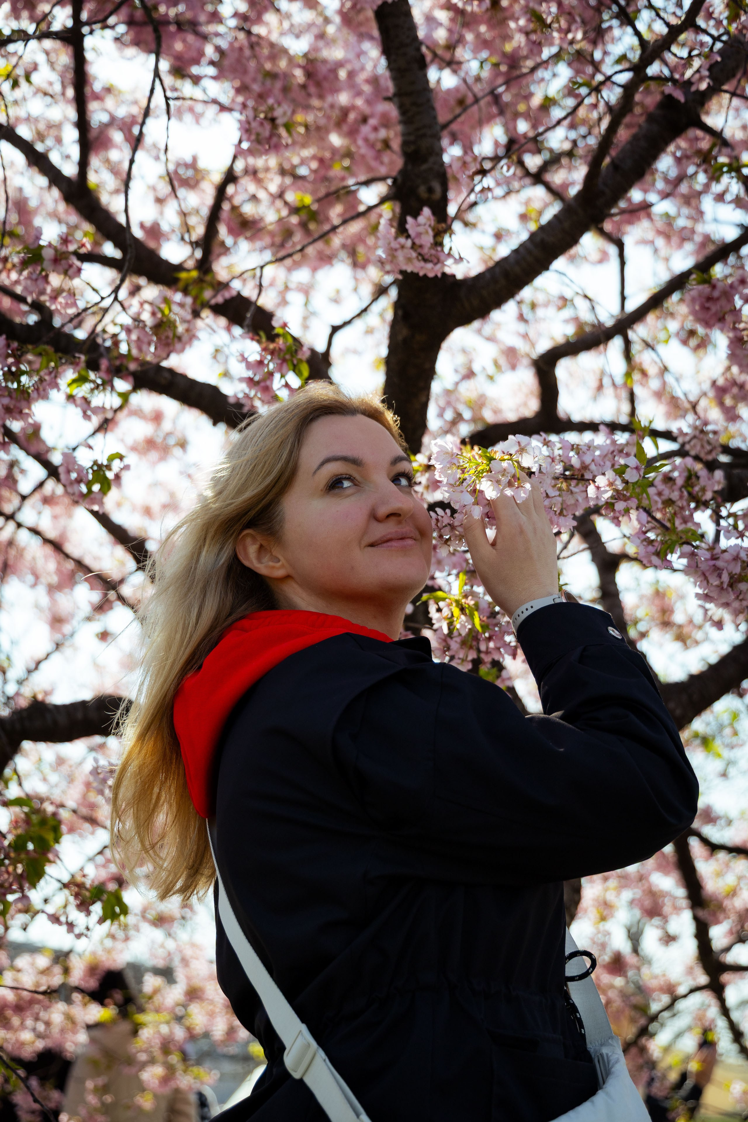 Шанхай (март 2026). Фотограф Виноградов Константин