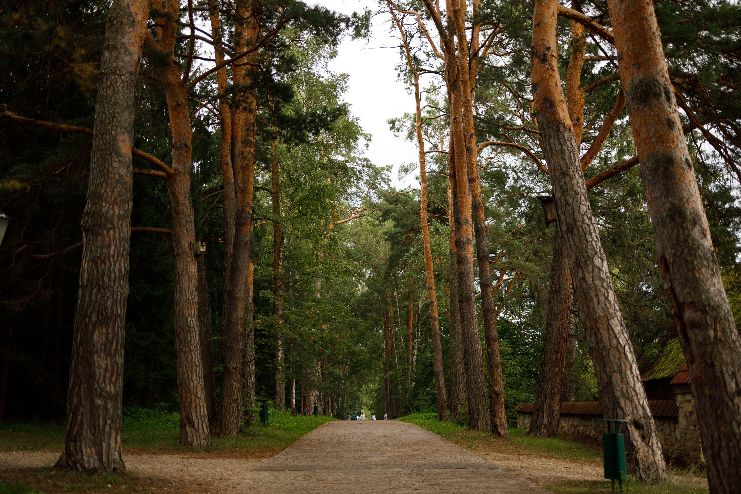 Поленово. Свадебный и семейный фотограф в Туле и области Маша Костина