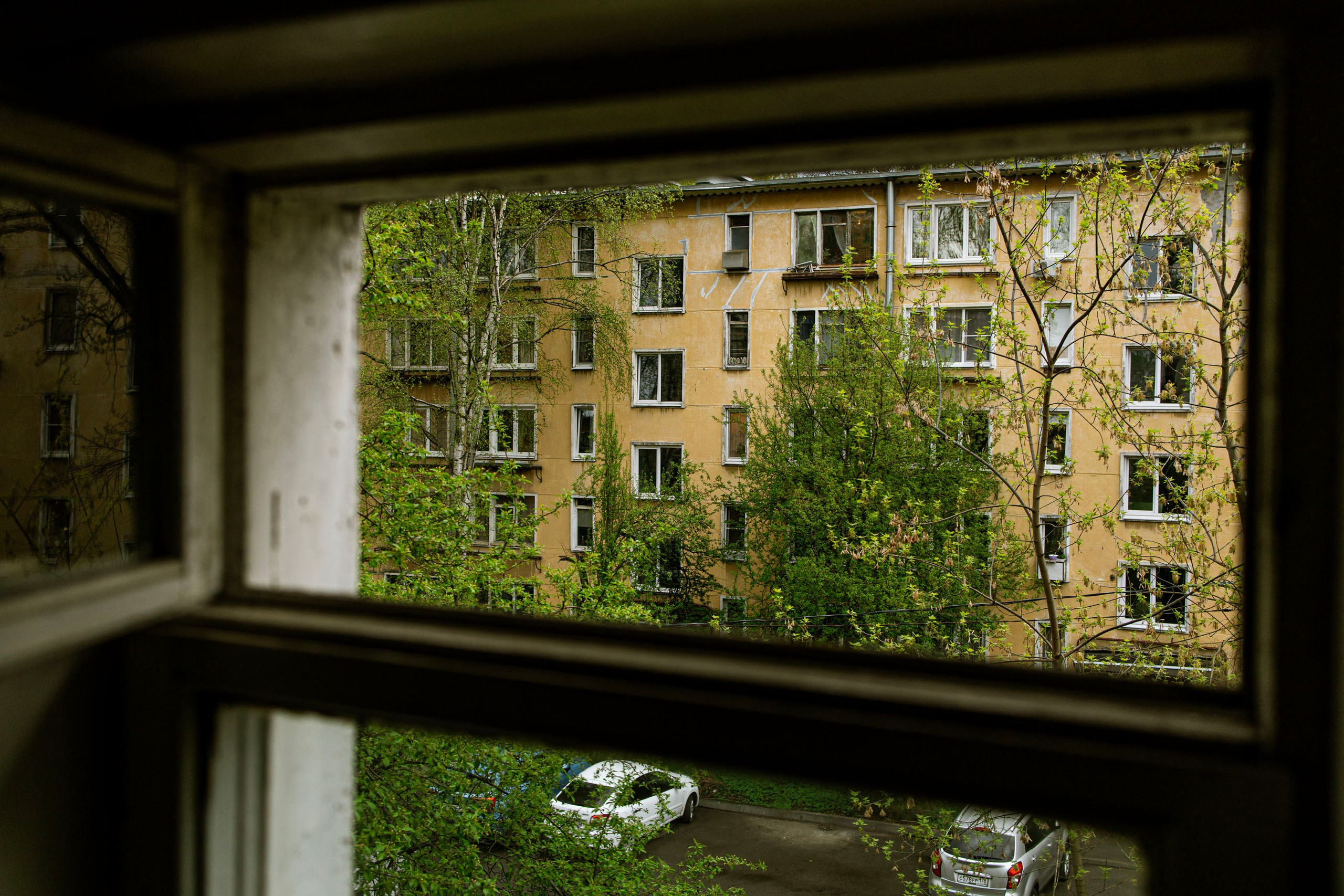 После дождя. Самид Али, фотограф из Санкт-Петербурга, Россия