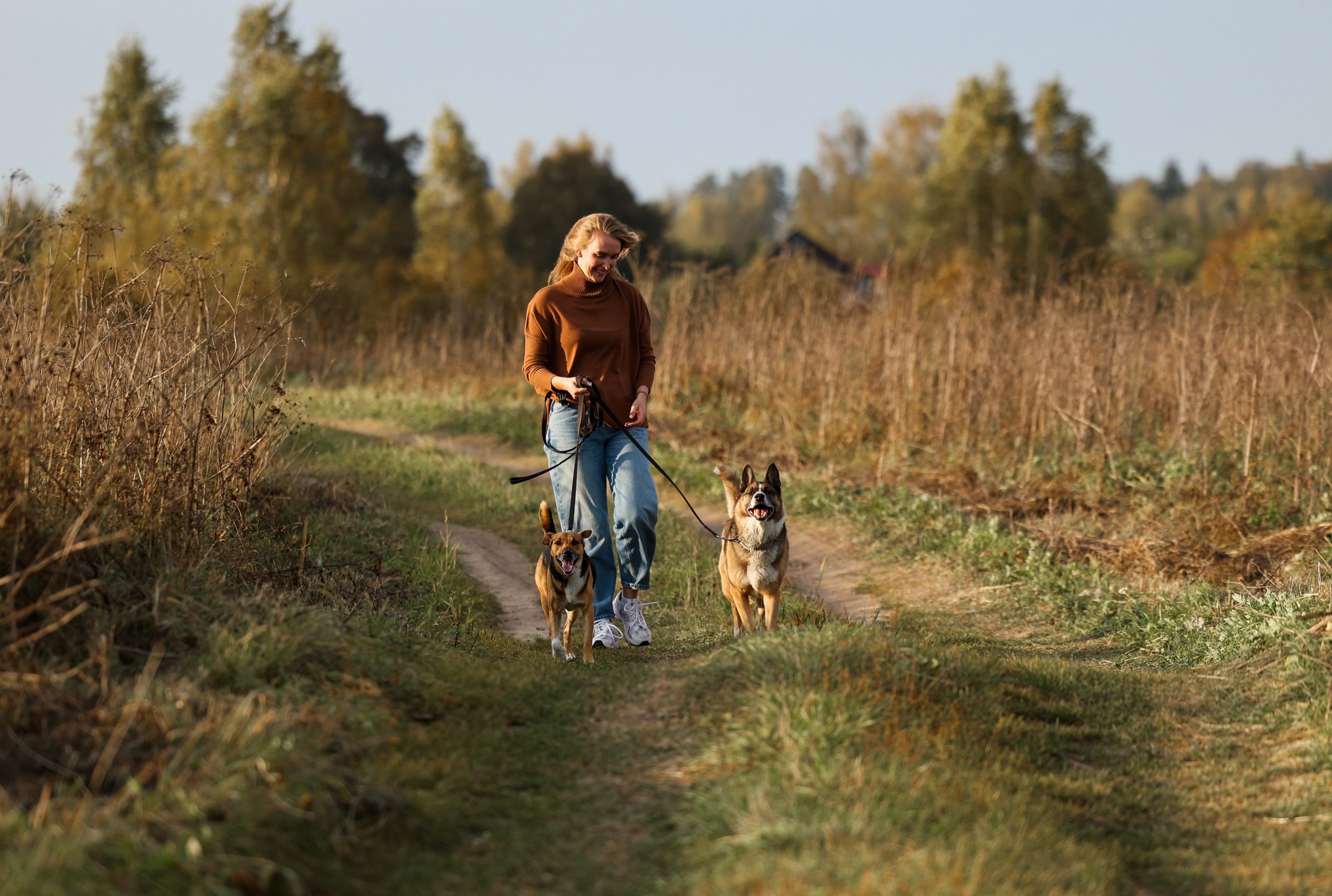 Прогулка на природе. Фотограф-анималист Полина Колкова | Москва