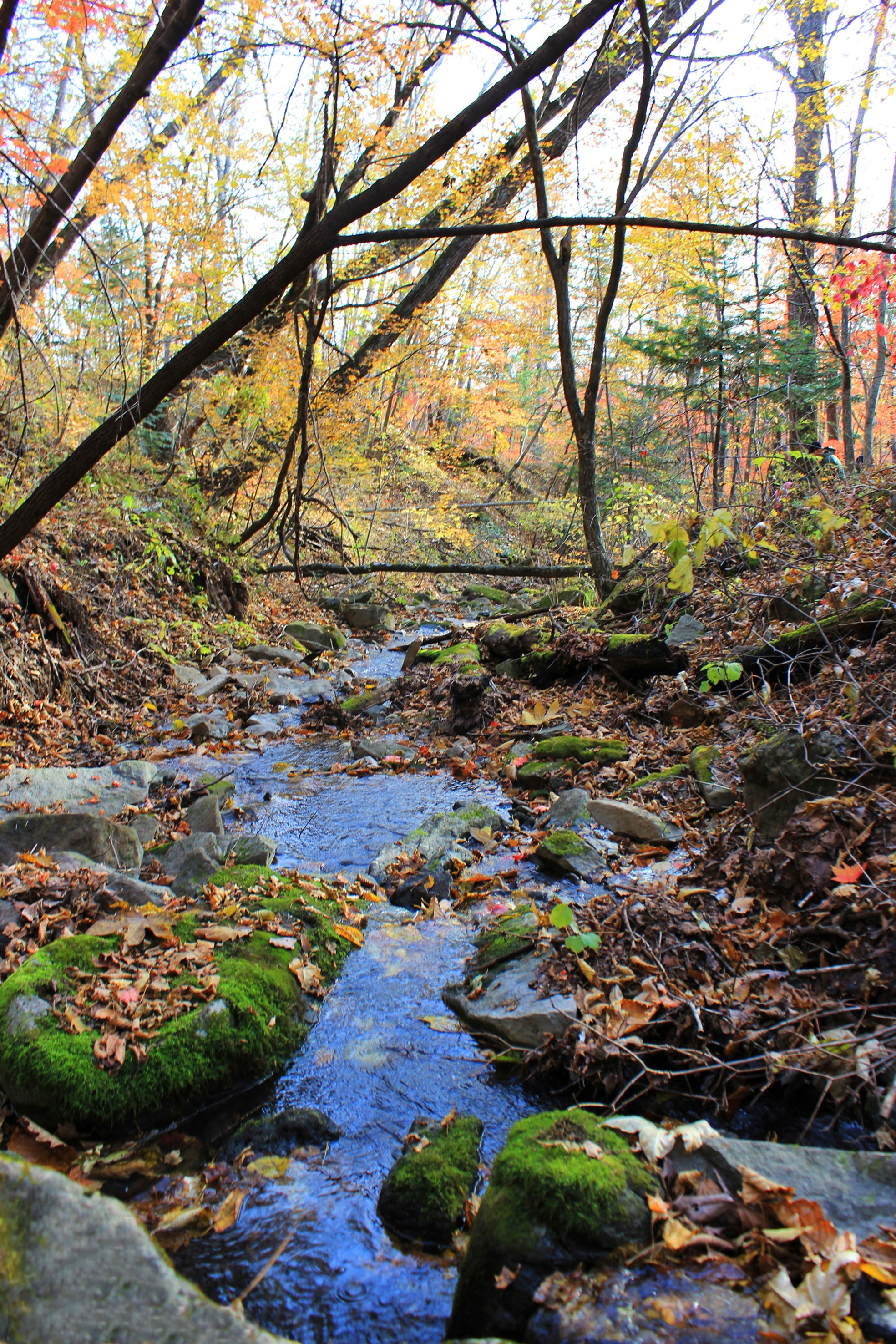 Природа. Команда фотографов Кристины Ивановой