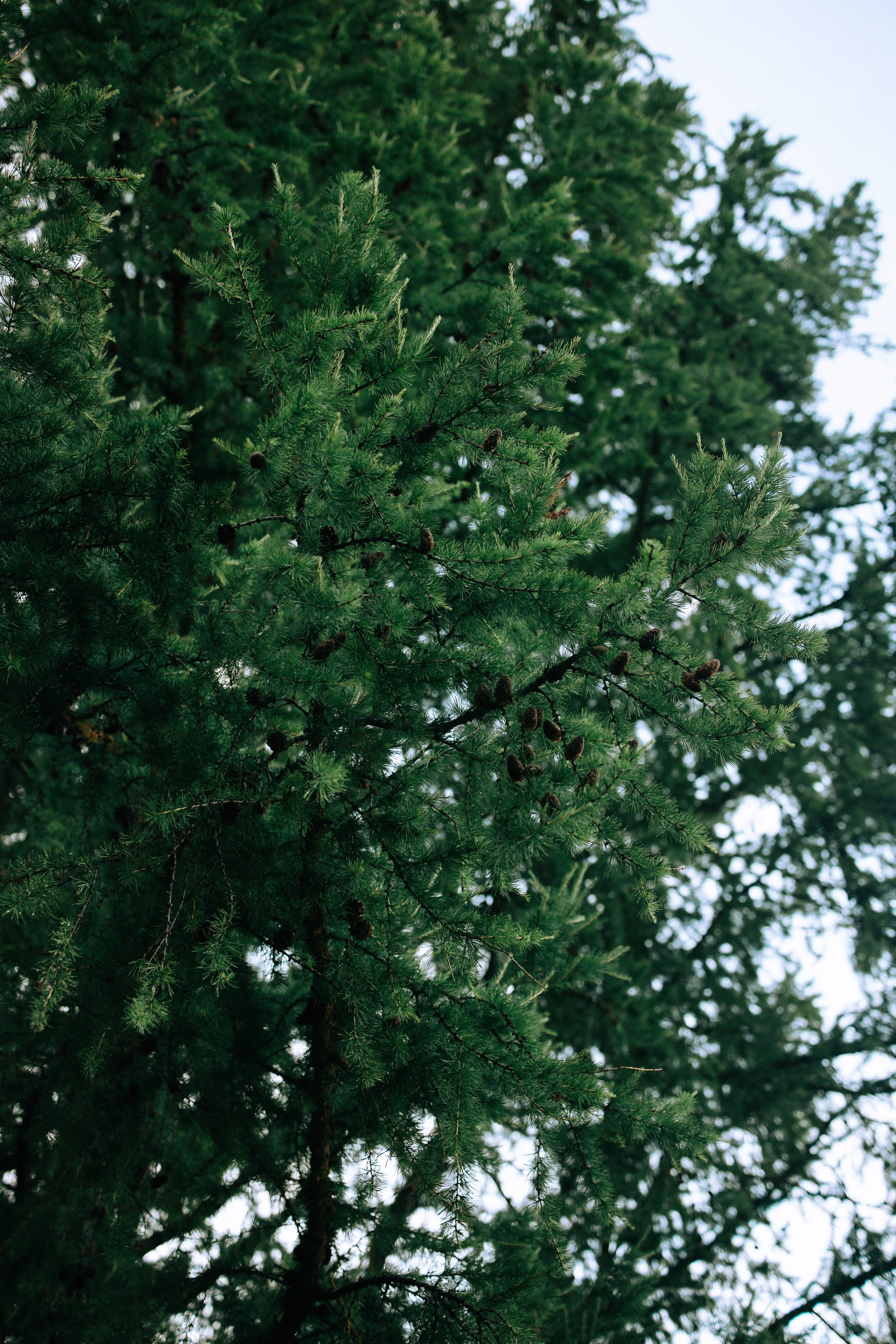 Стадион Металлург. Свадебный и семейный фотограф в Туле и области Маша Костина
