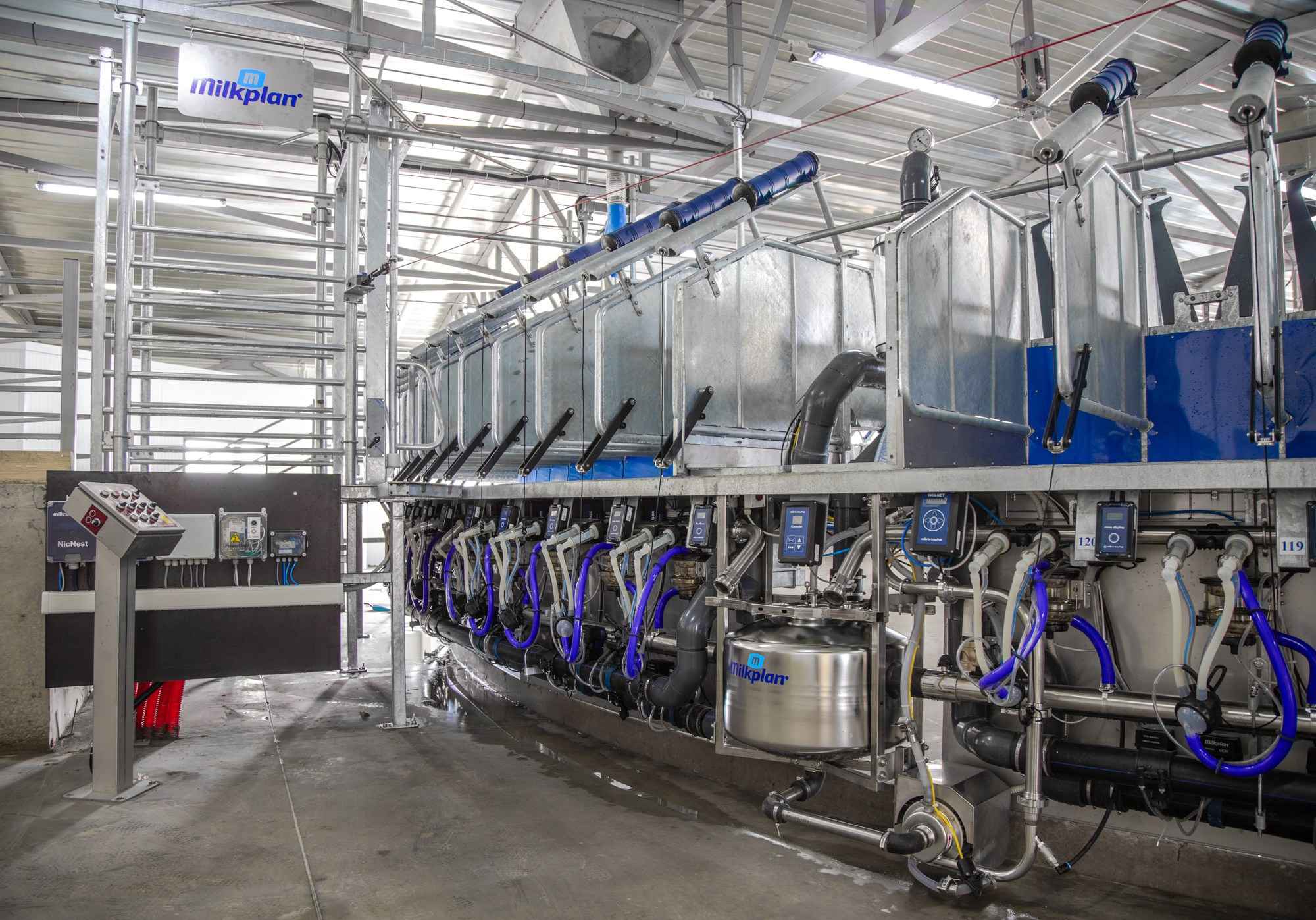 Открытие карусели для дойки скота. Репортажный, промышленный и маркетплейс-фотограф Дмитрий Чернат