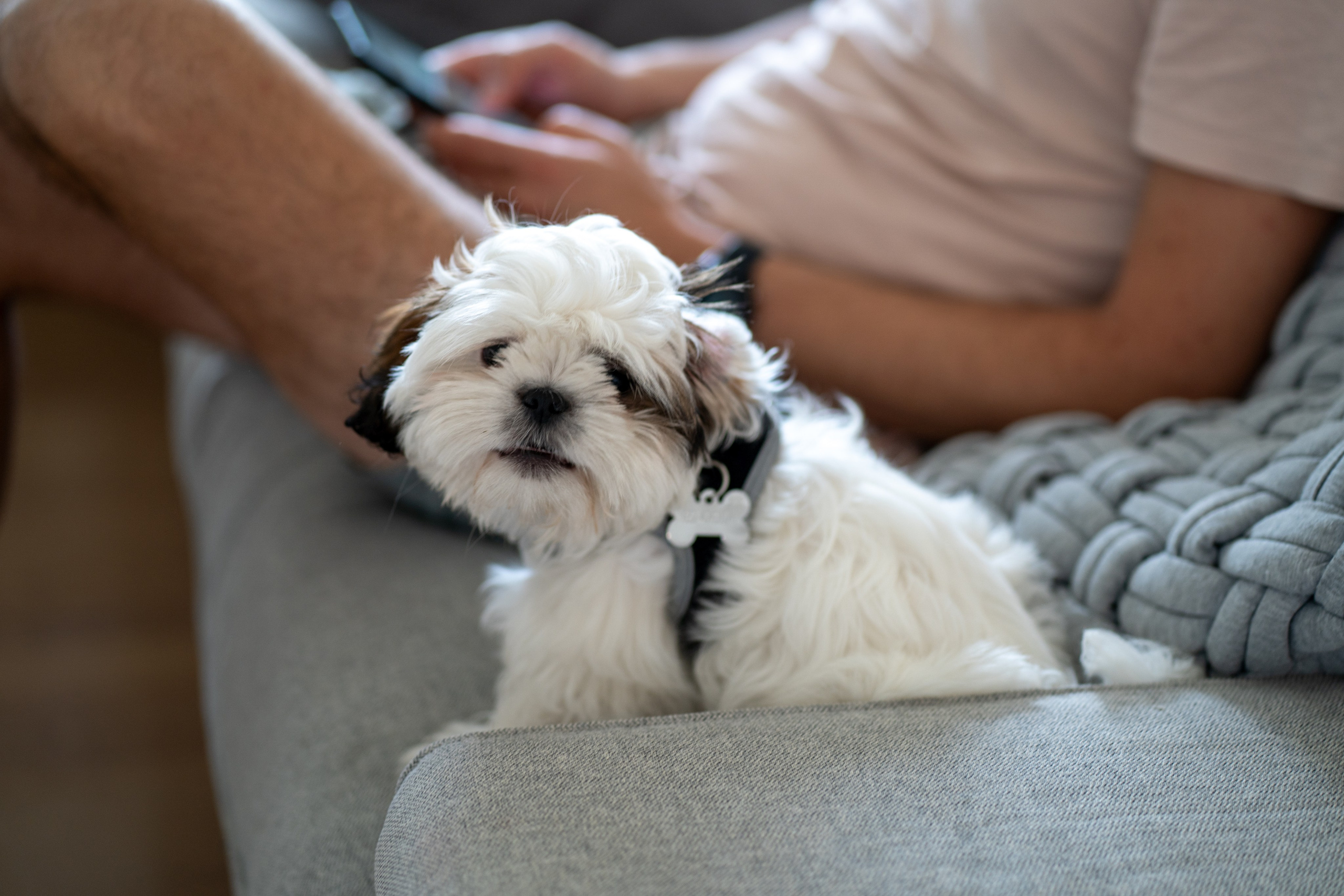 Ella. Семейный и детский фотограф в Израиле и Москве Дорошок Надя