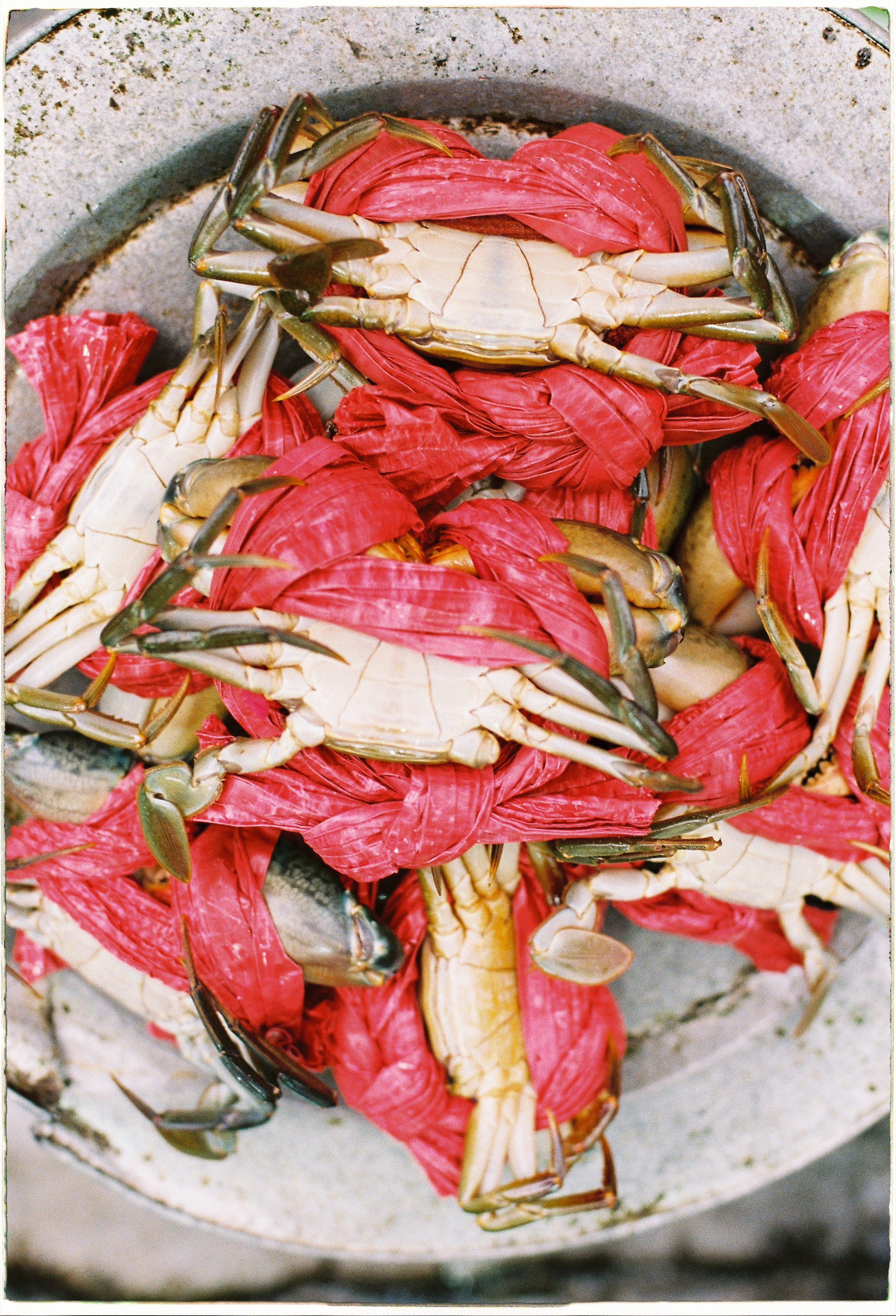 Danang visual diary. Film Photographer in Da Nang, Vietnam — Tanya Parfenteva