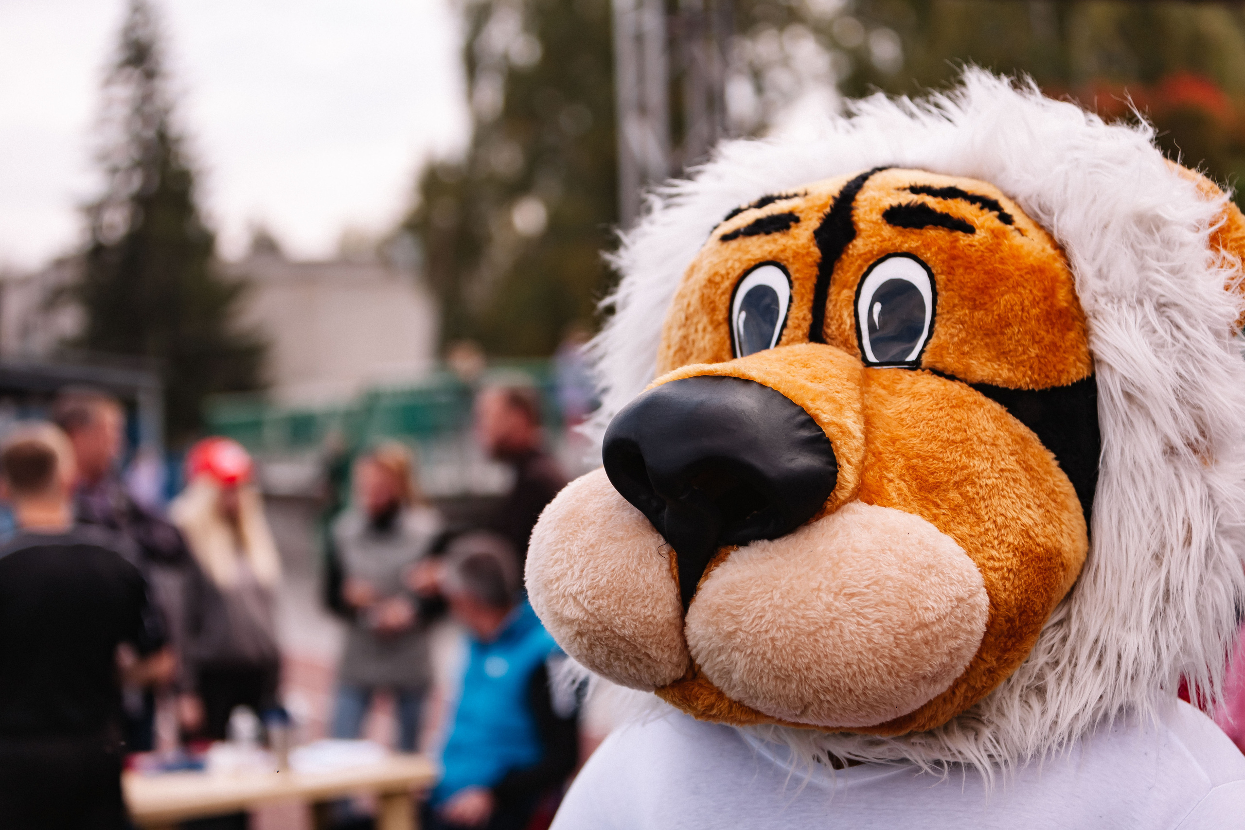 Всероссийский фестиваль детского дворового футбола 6×6 (D.V.O.R). Репортажный фотограф в Новосибирске