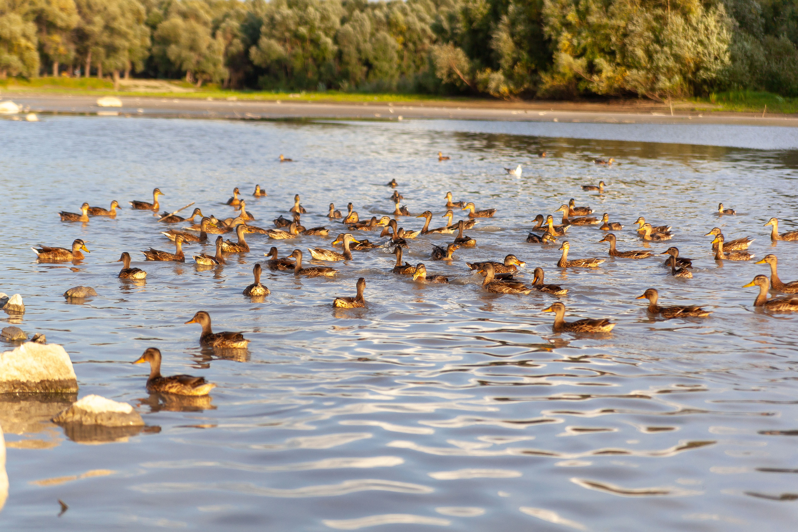 Фотографии с улиц города. Репортажный фотограф в Новосибирске