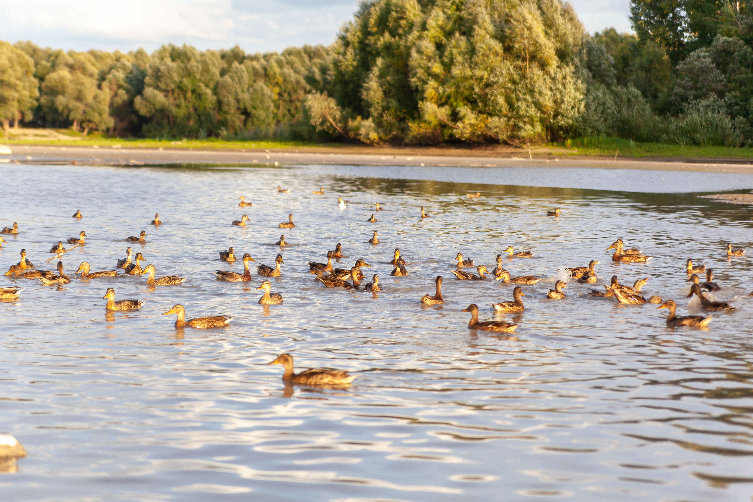 Фотографии с улиц города. Репортажный фотограф в Новосибирске