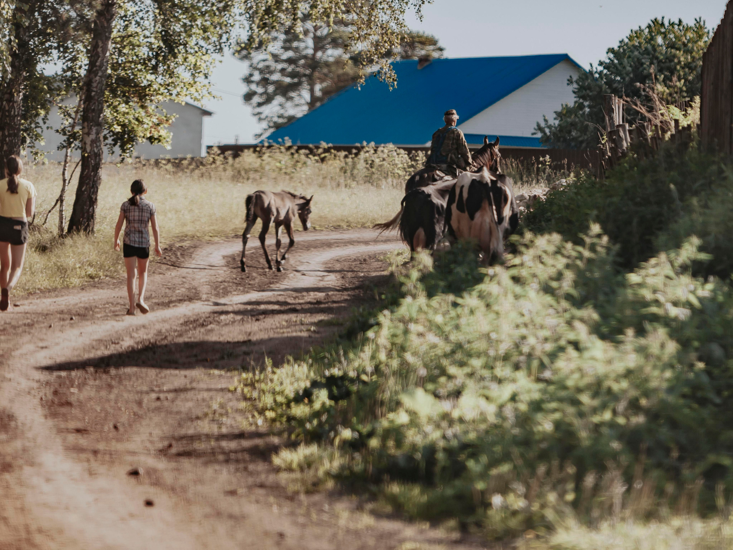 Деревня. Репортажный фотограф в Новосибирске