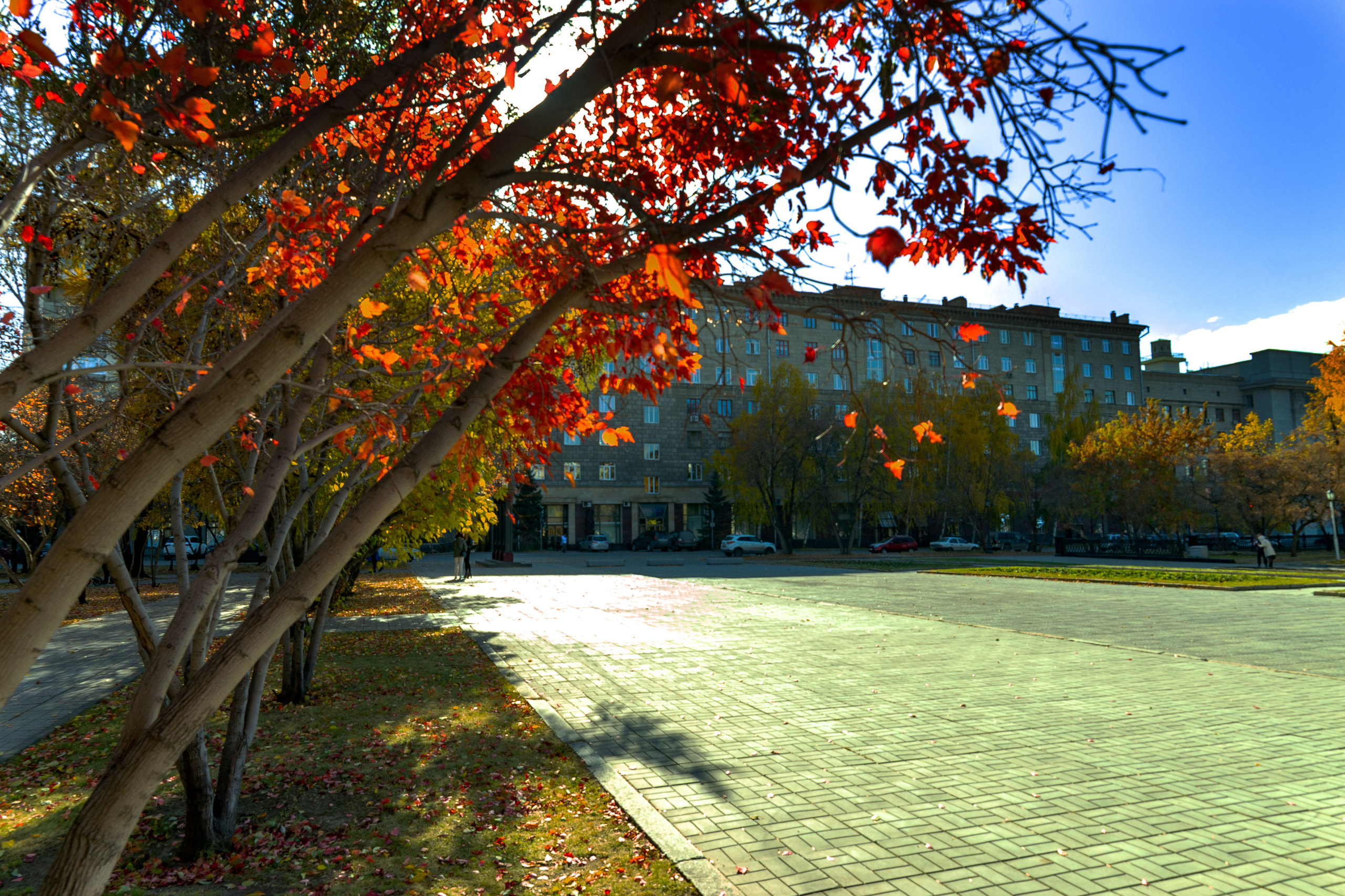 Кадры города. Такой Новосибирск. Репортажный фотограф в Новосибирске