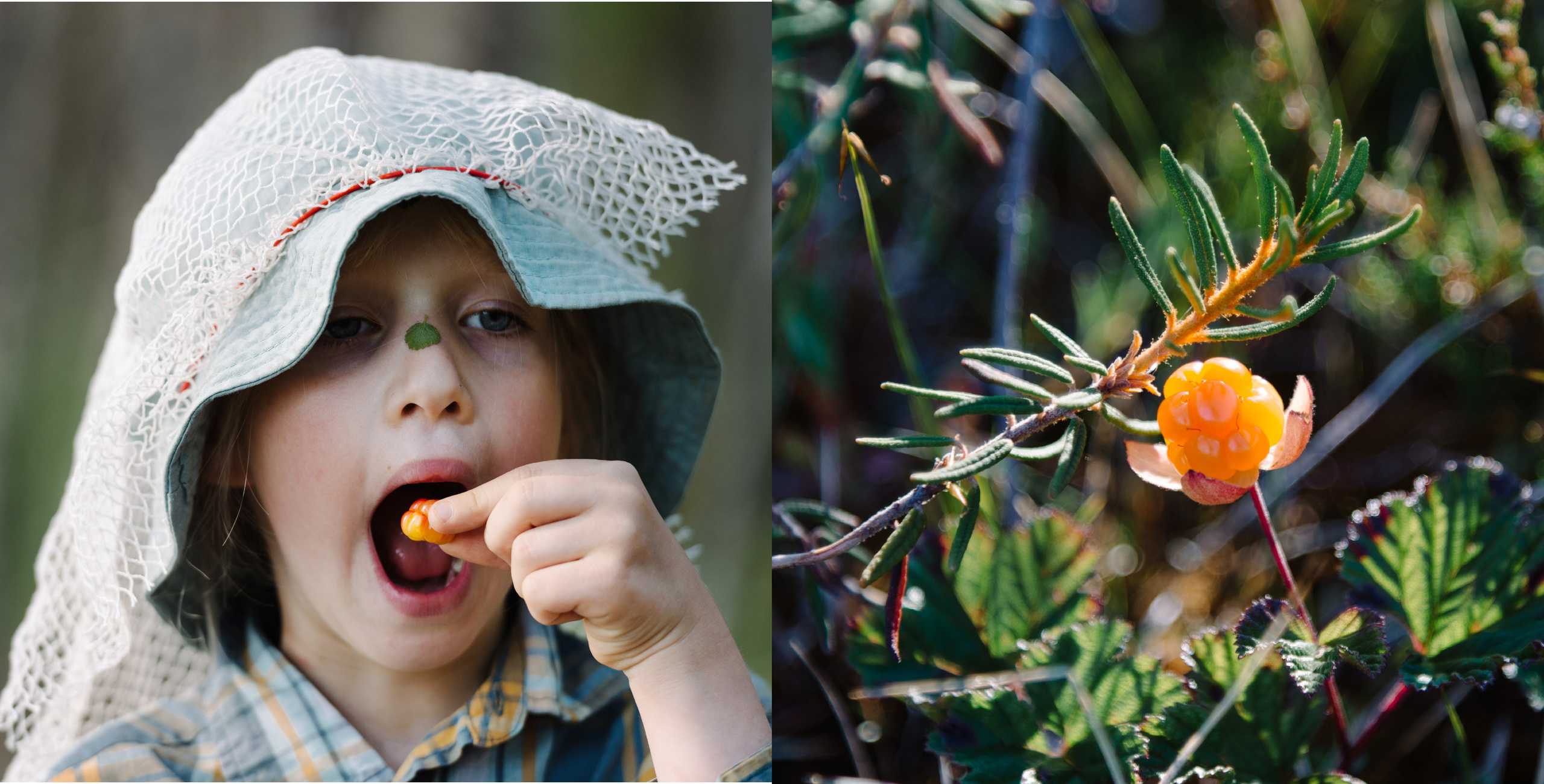 Белое море. Фотограф Алиса Калинина