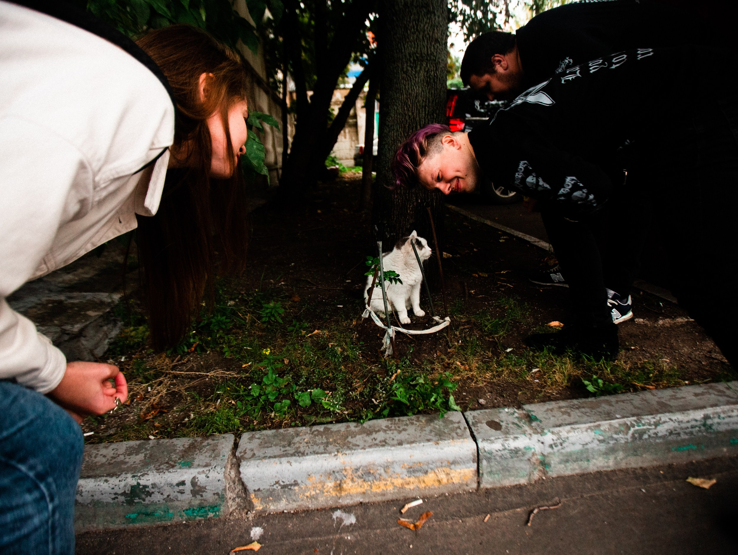 Роад трип TRNA СПБ-Москва 2021. Фотограф Мария Немм