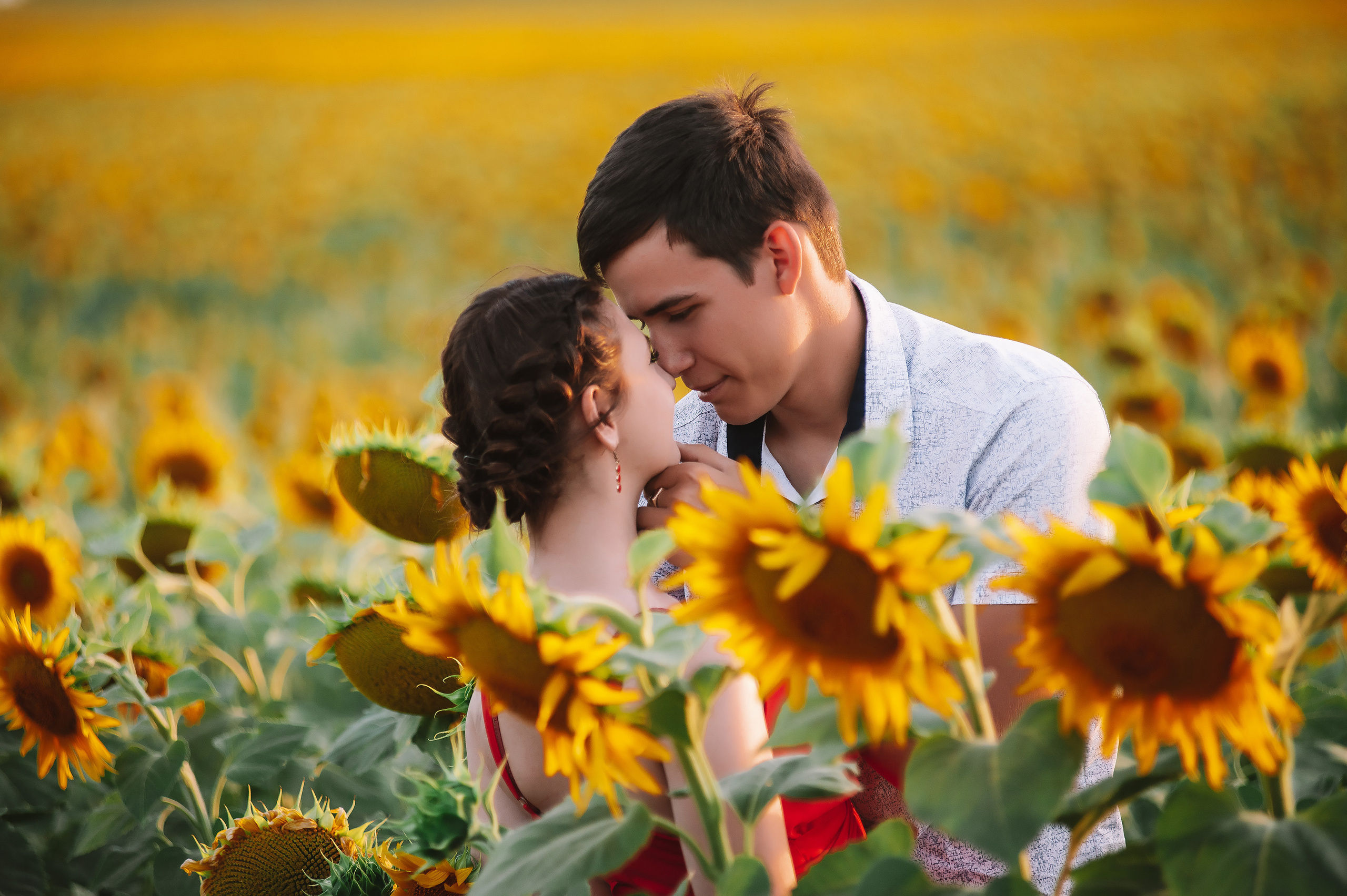 Фотосессия в подсолнухах 2020. Фотограф Ольга Бережная г. Михайловка
