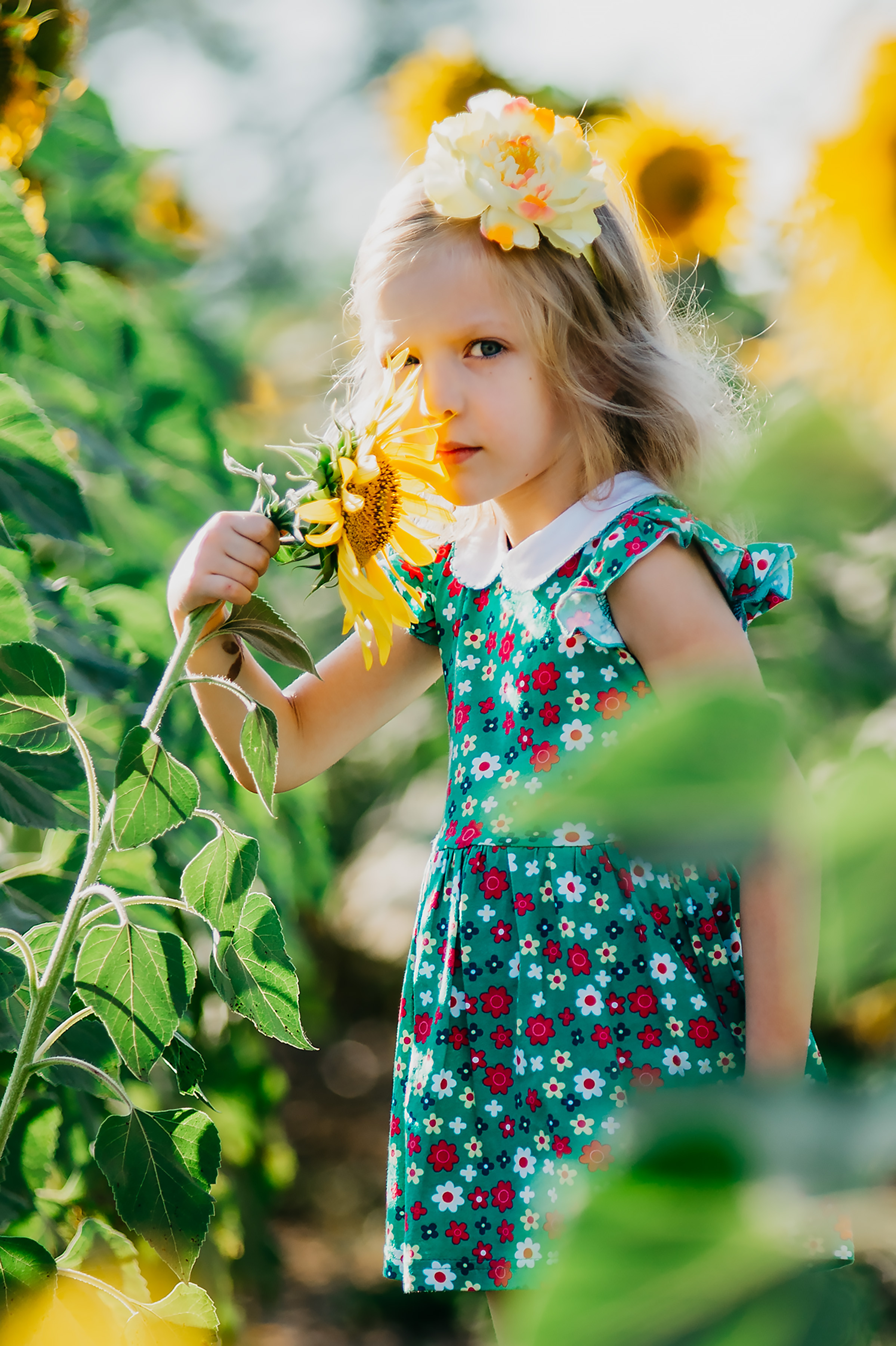 Фотосессия в подсолнухах 2020. Фотограф Ольга Бережная г. Михайловка