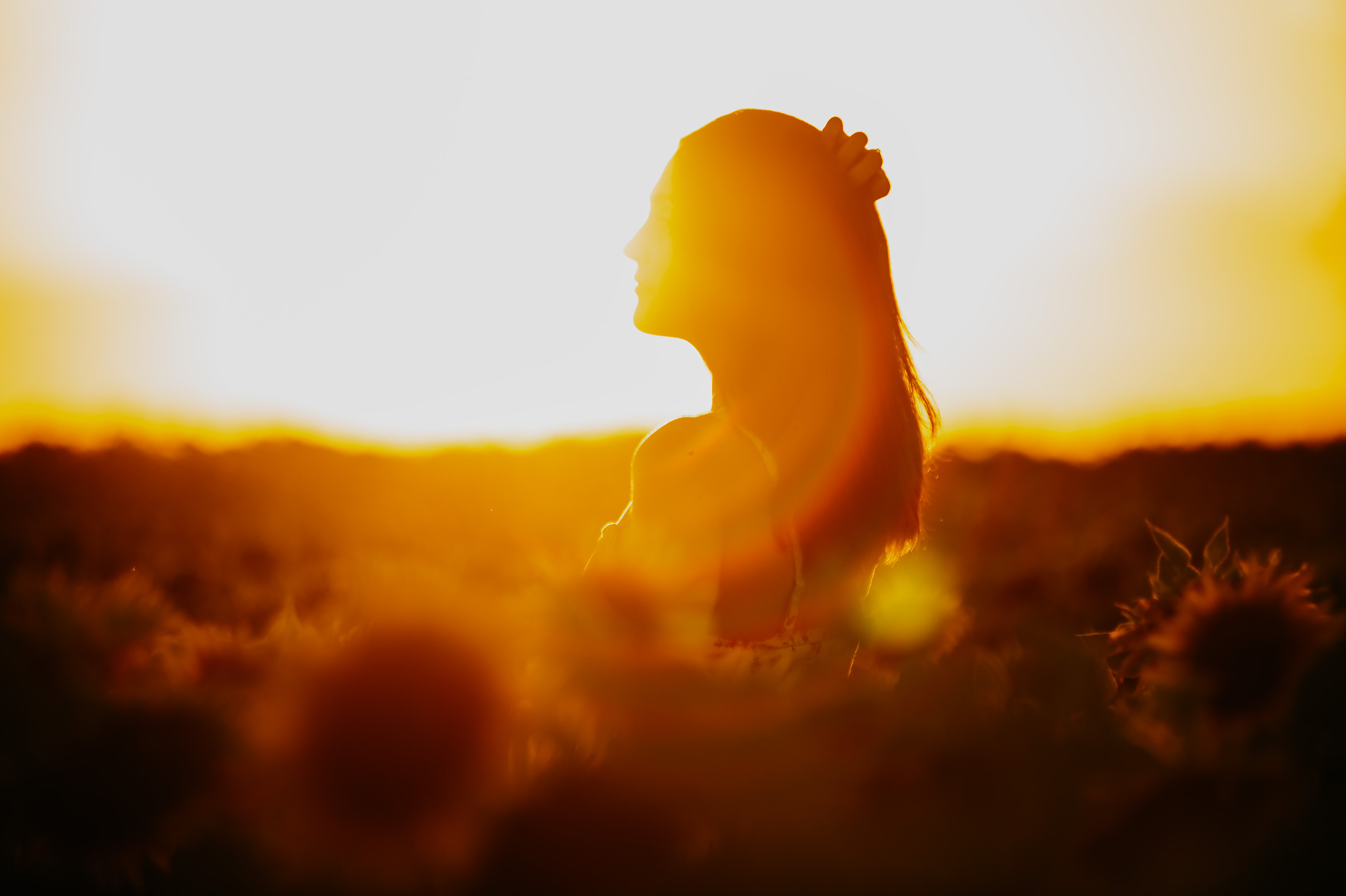 Фотосессия в подсолнухах 2020. Фотограф Ольга Бережная г. Михайловка