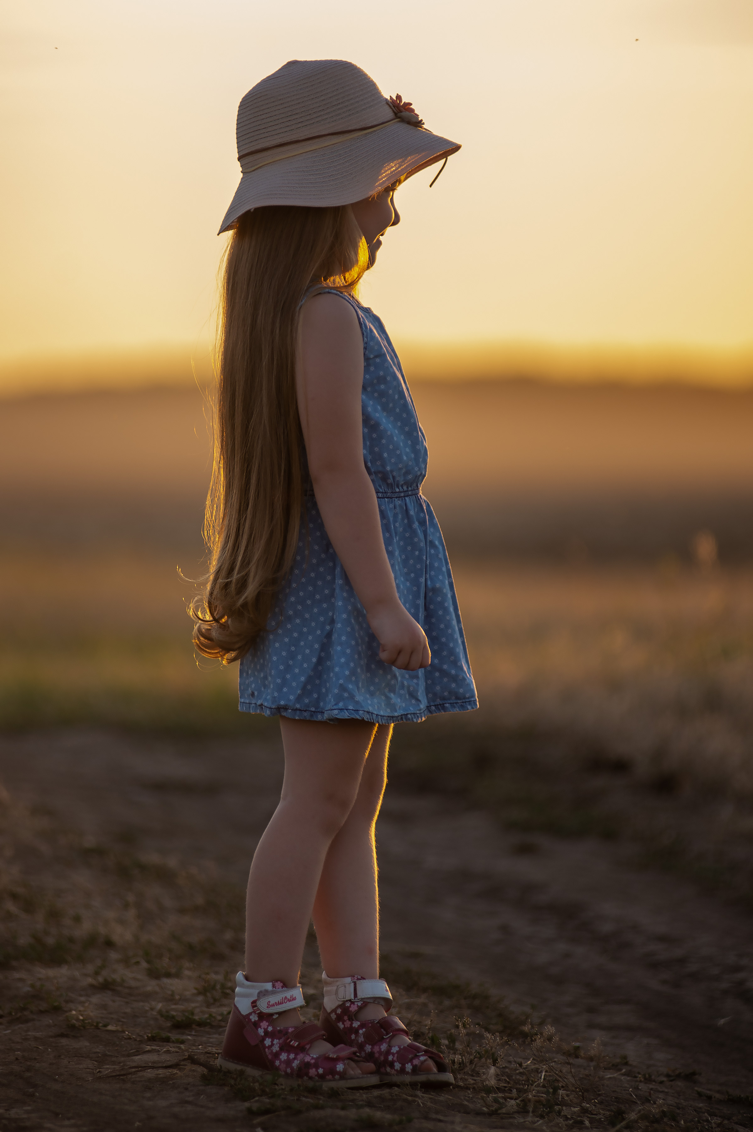 Фотосессия в подсолнухах 2020. Фотограф Ольга Бережная г. Михайловка