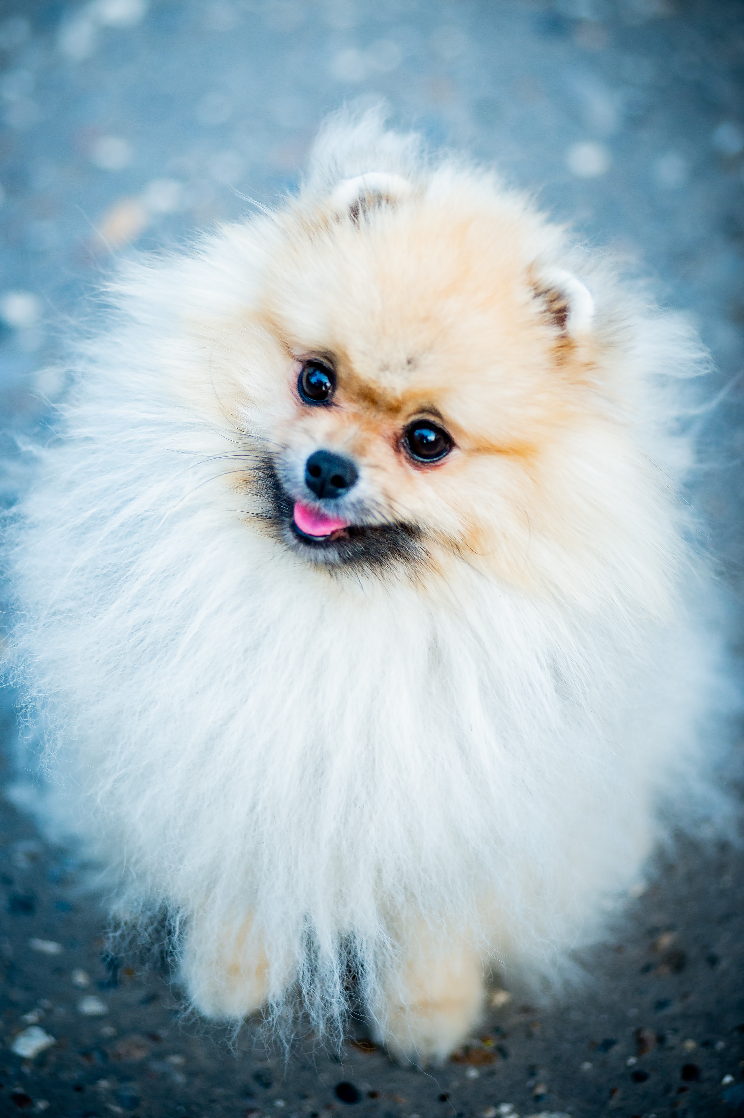 Дарья Осень 2020. Фотограф Ольга Бережная г. Михайловка