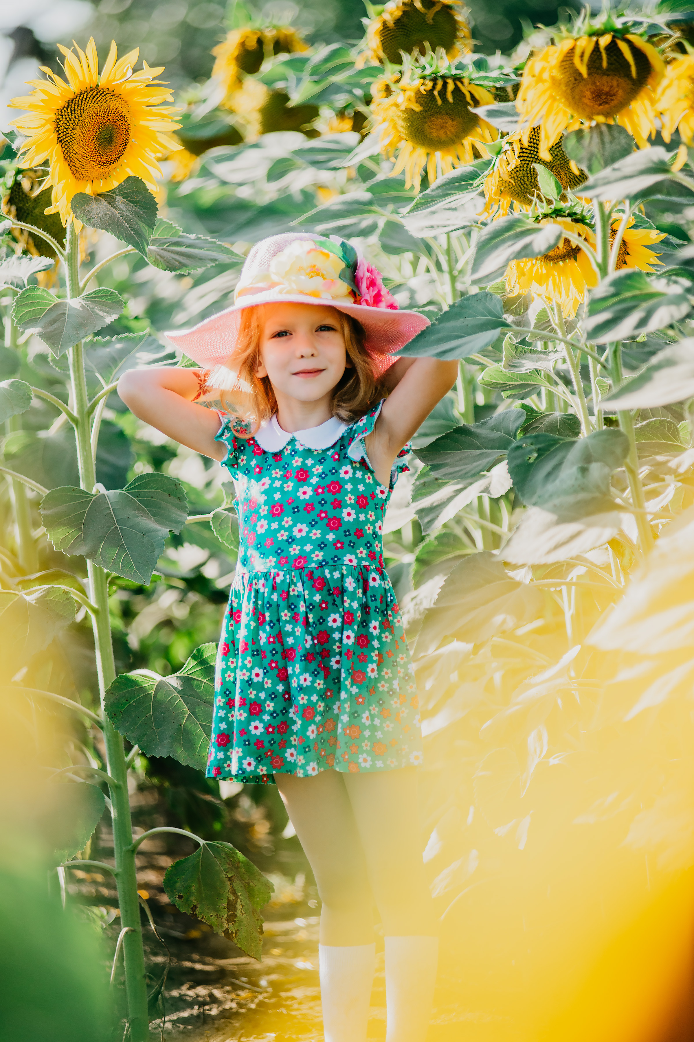 Фотосессия в подсолнухах 2020. Фотограф Ольга Бережная г. Михайловка