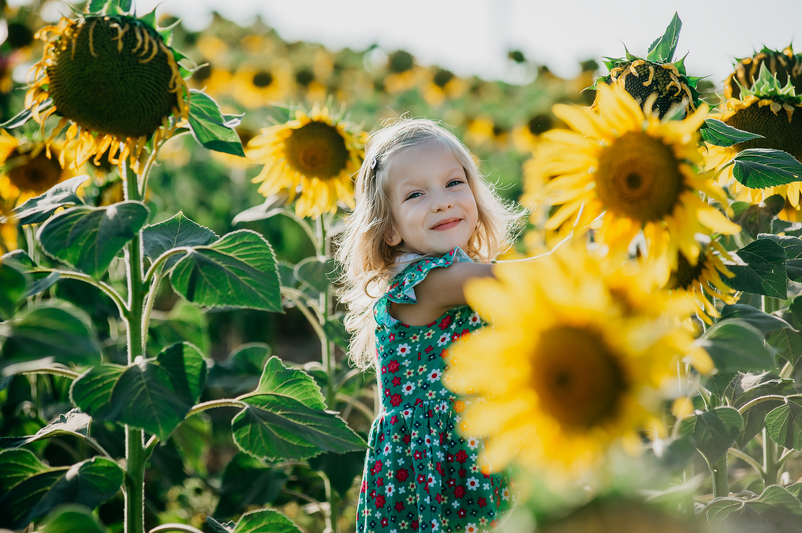 Фотосессия в подсолнухах 2020. Фотограф Ольга Бережная г. Михайловка