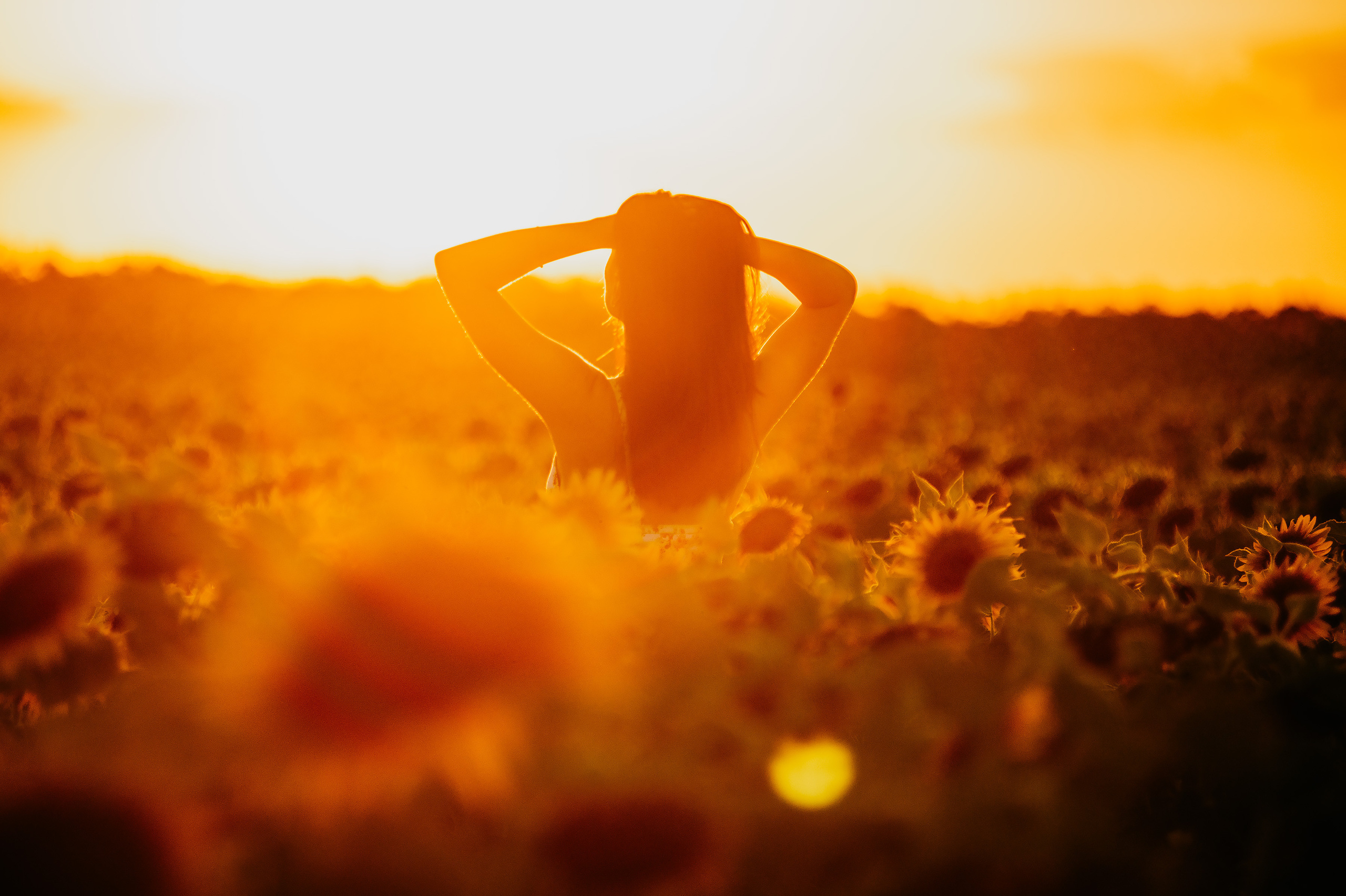 Фотосессия в подсолнухах 2020. Фотограф Ольга Бережная г. Михайловка