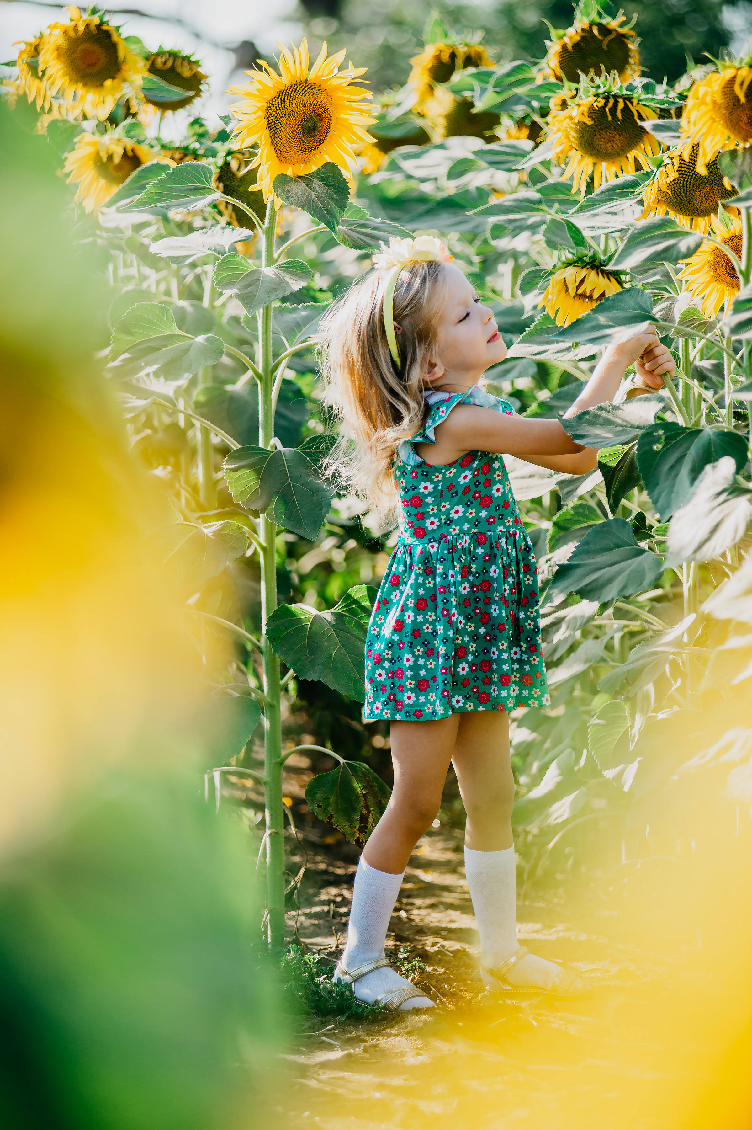 Фотосессия в подсолнухах 2020. Фотограф Ольга Бережная г. Михайловка