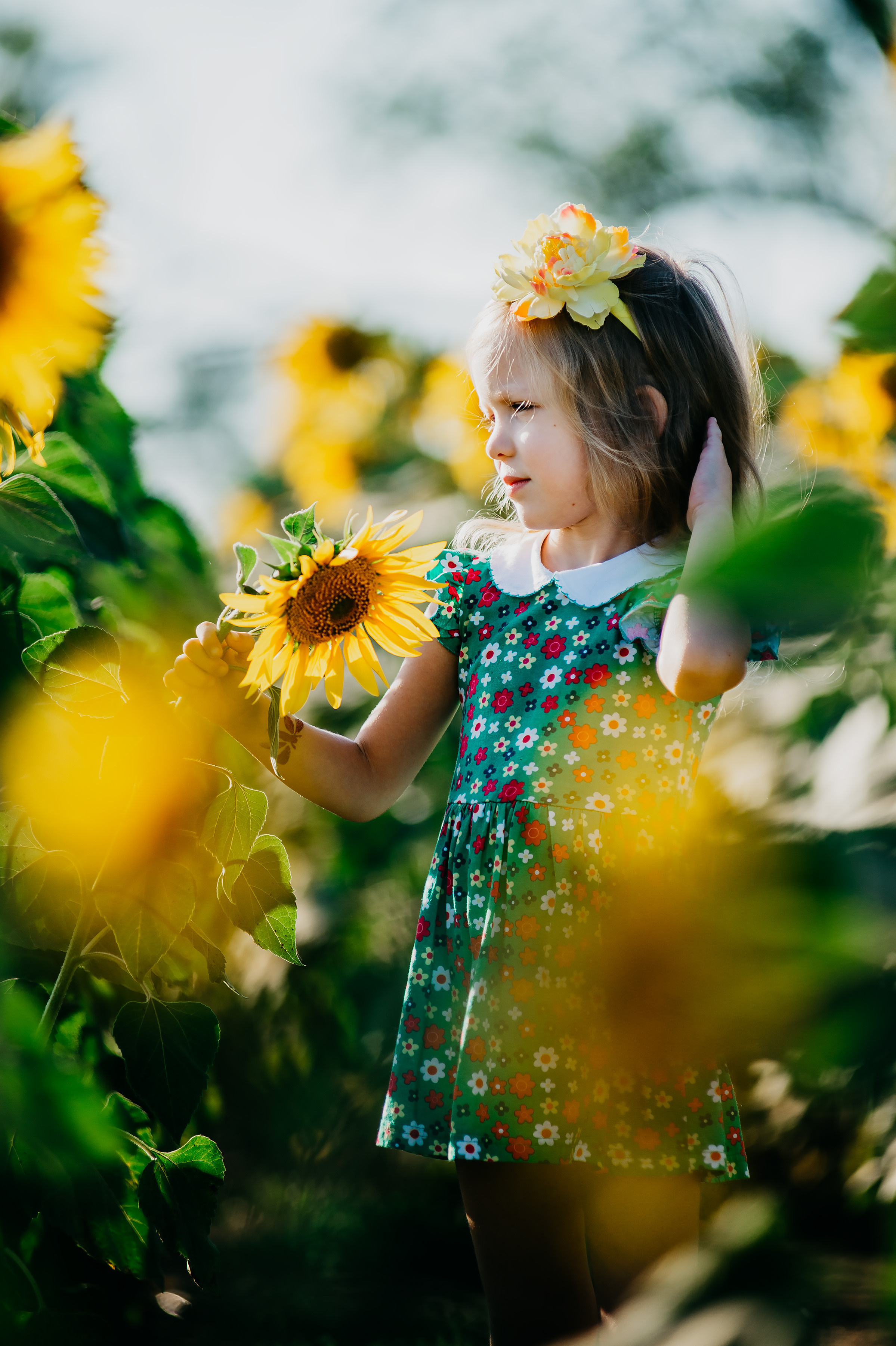 Фотосессия в подсолнухах 2020. Фотограф Ольга Бережная г. Михайловка