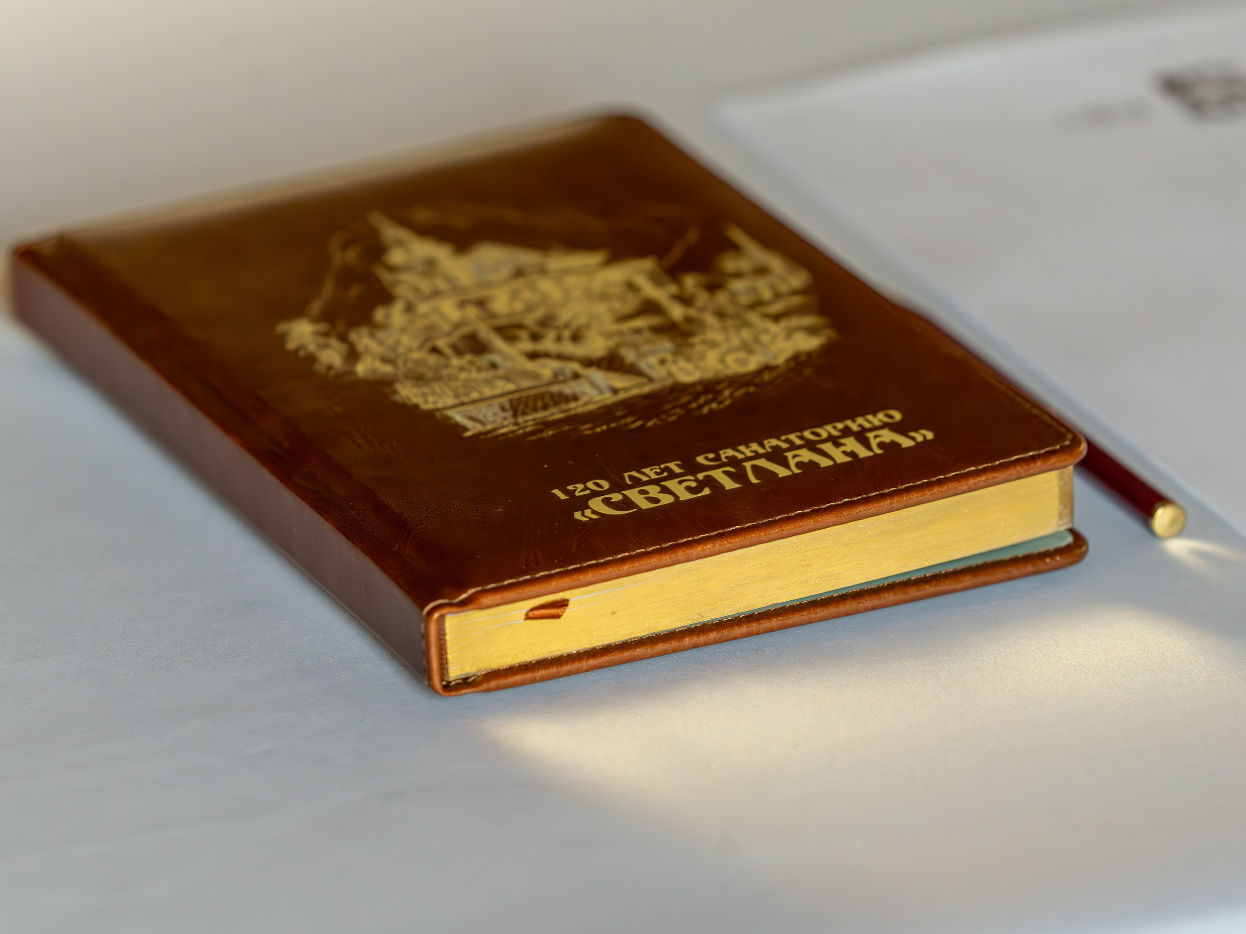 ЦСТЭ холдинг 2023. Репортажный фотограф в Красной Поляне и Сочи Павлюченко Екатерина