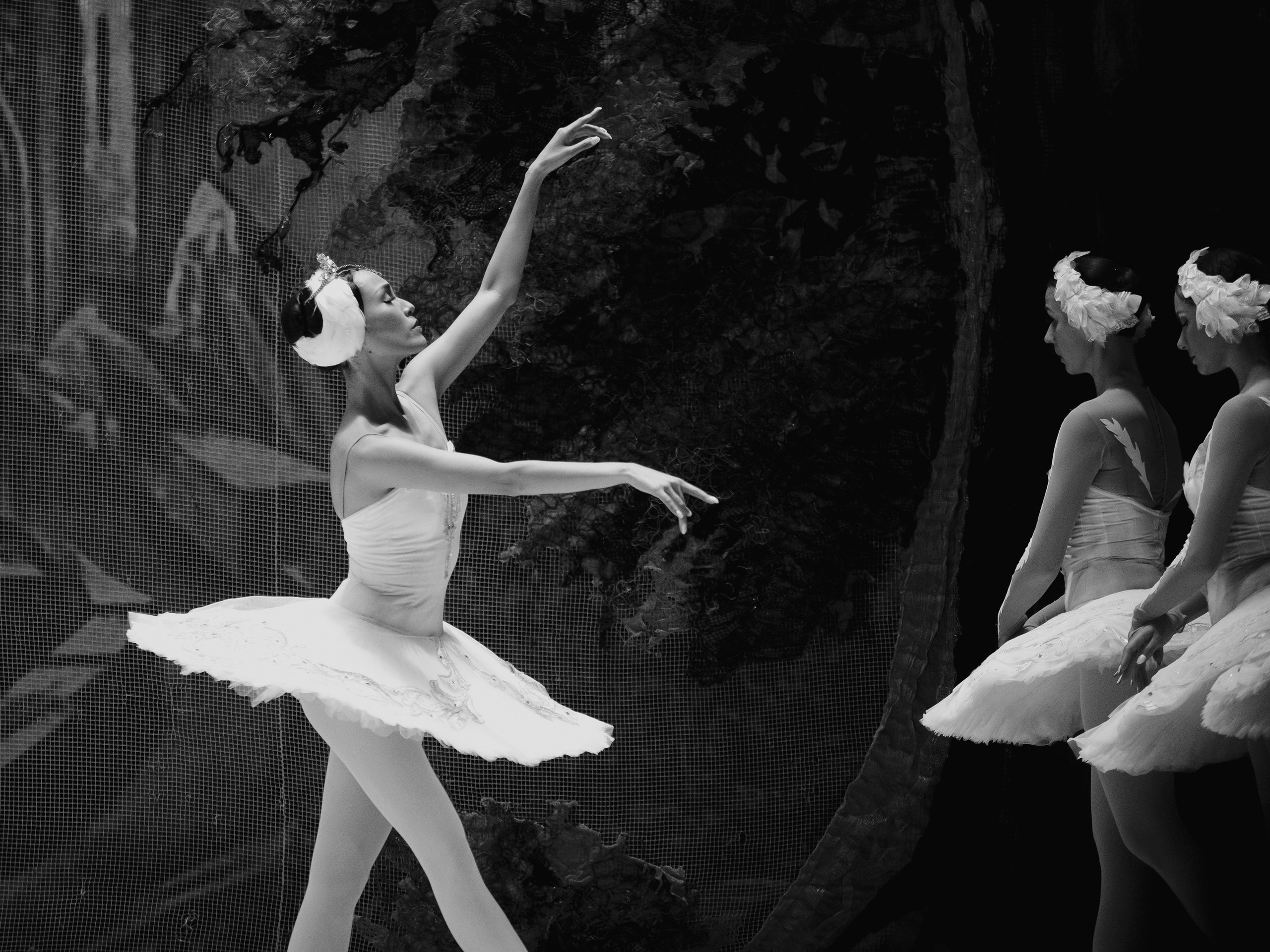 Балет «Лебединое озеро». Маруся Машкова • Фотограф в Москве