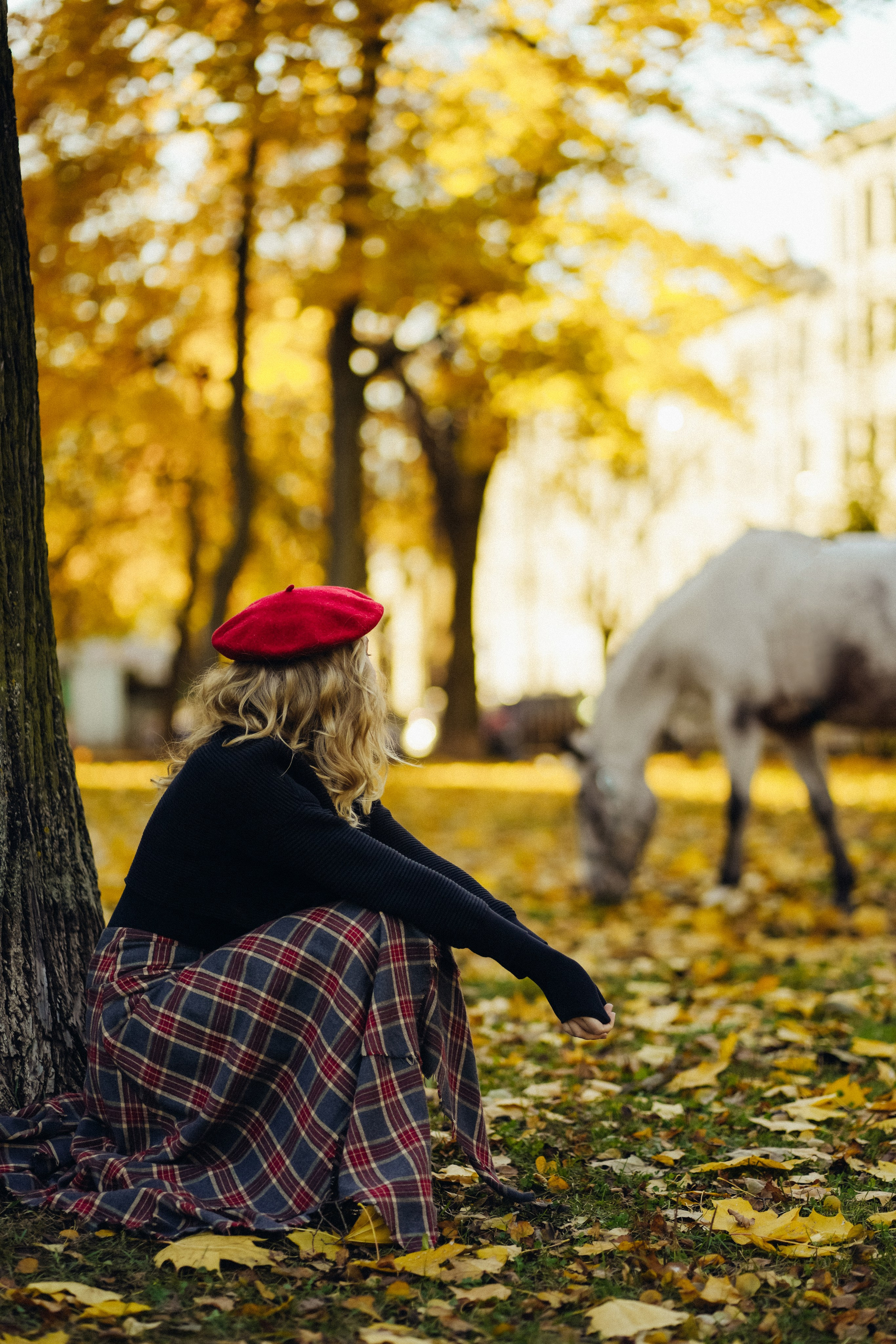 Виолетта. Фотограф г. Санкт-Петербург Александра Катанакова