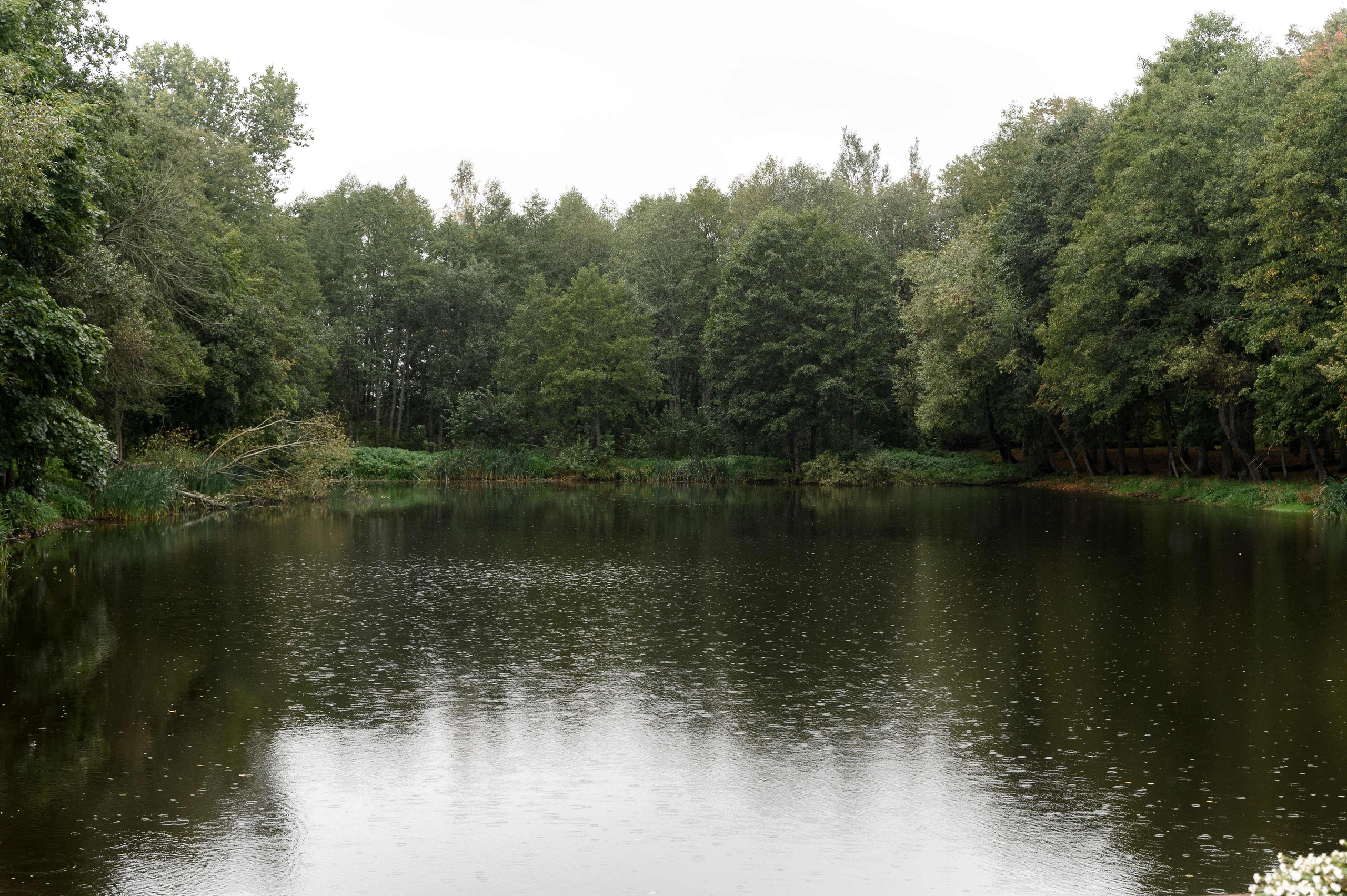 L&O. Свадебный фотограф Минск