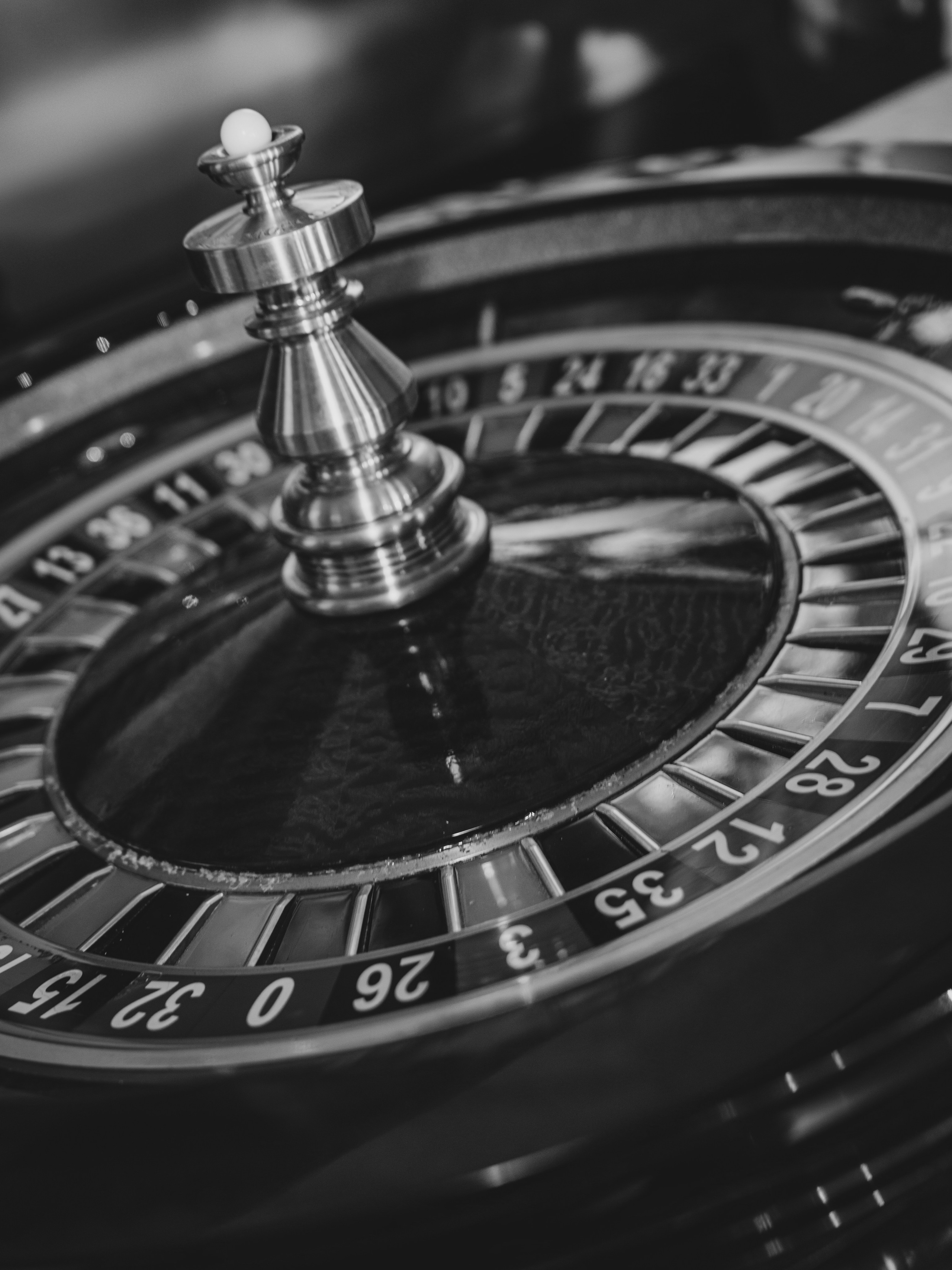 Бабр 2025. Фотограф в Иркутске на все важные случаи жизни