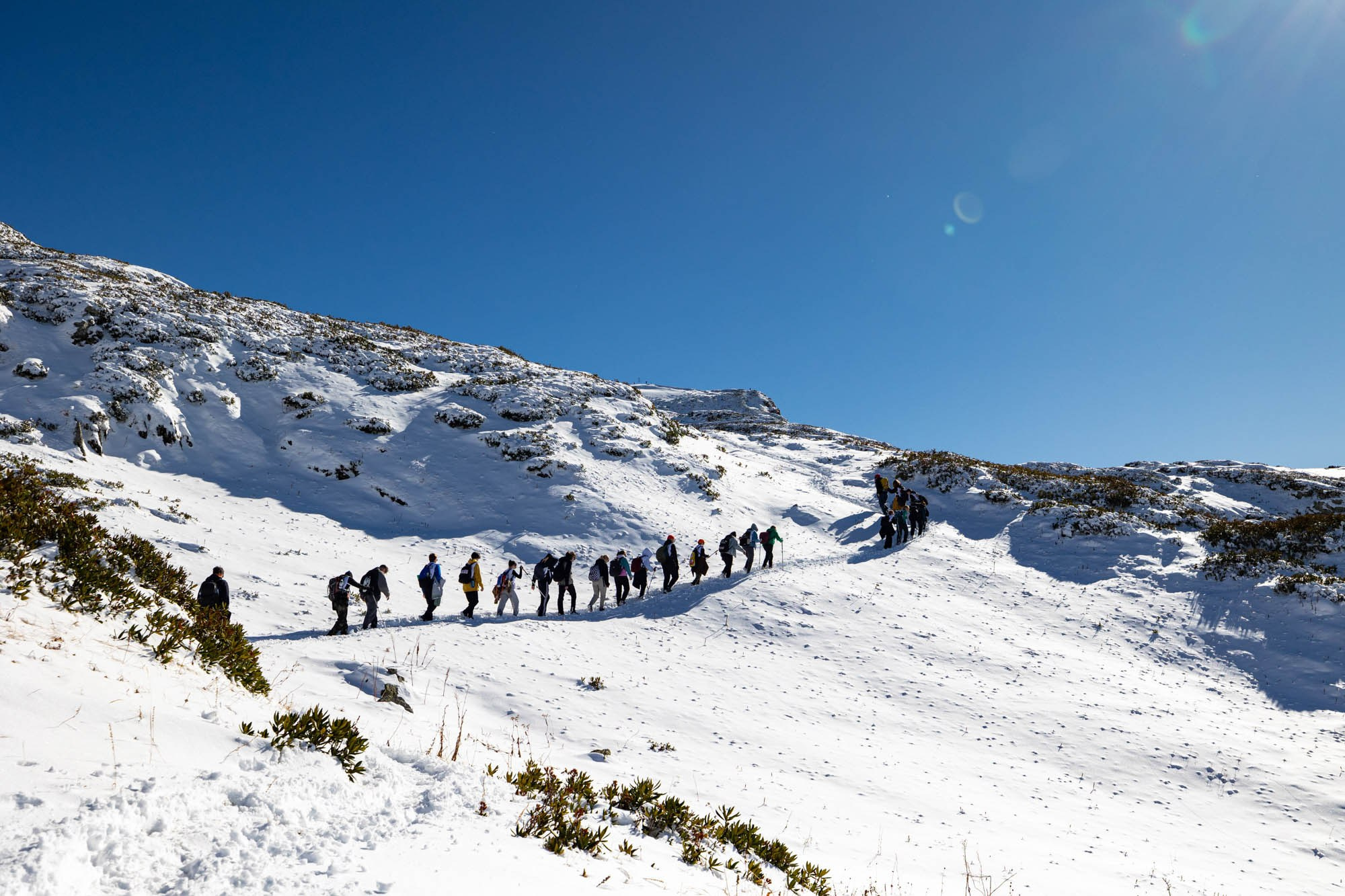 Детский лагерь ФОКС КЭМП. Фотограф Красная Поляна — Сочи — Москва