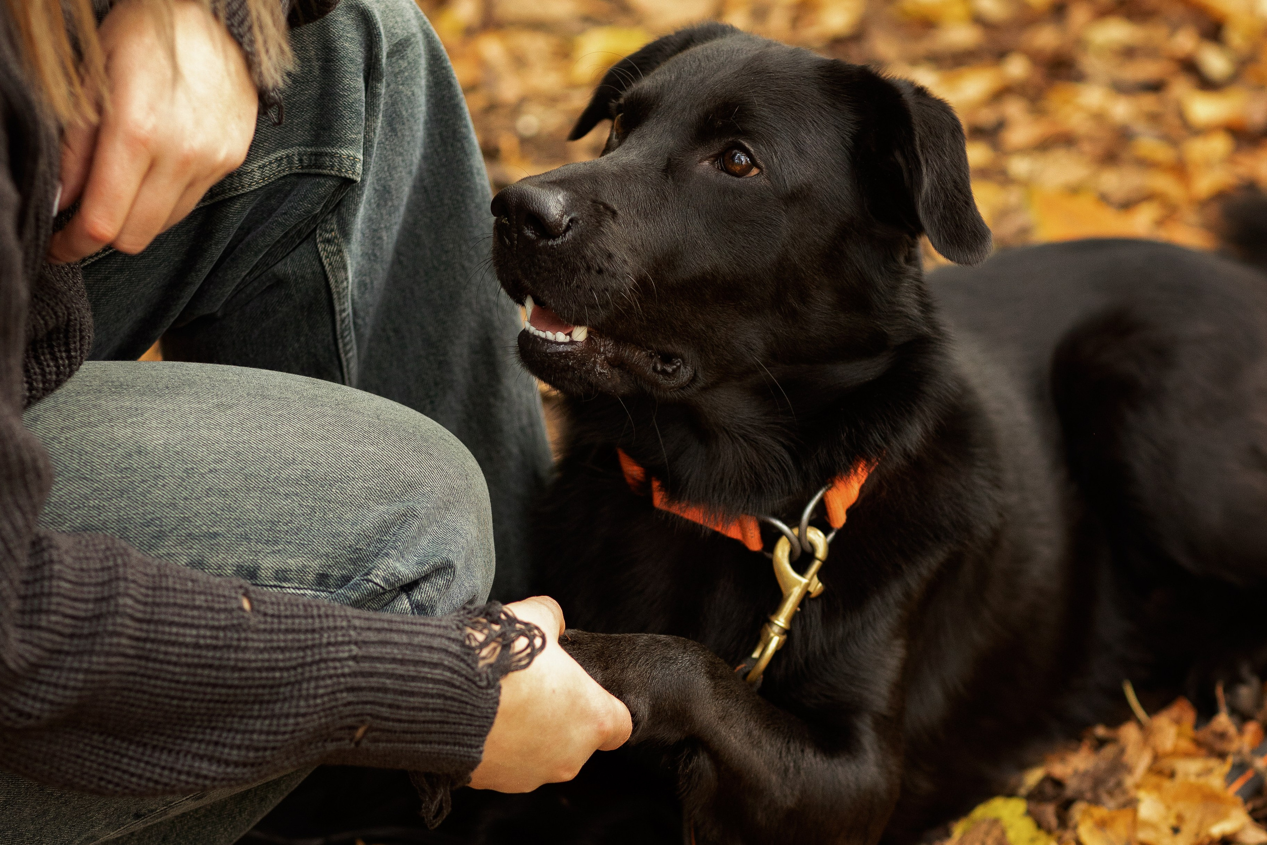 Анастасия и Балу. Фотограф — Анималист Наталья Тямушева