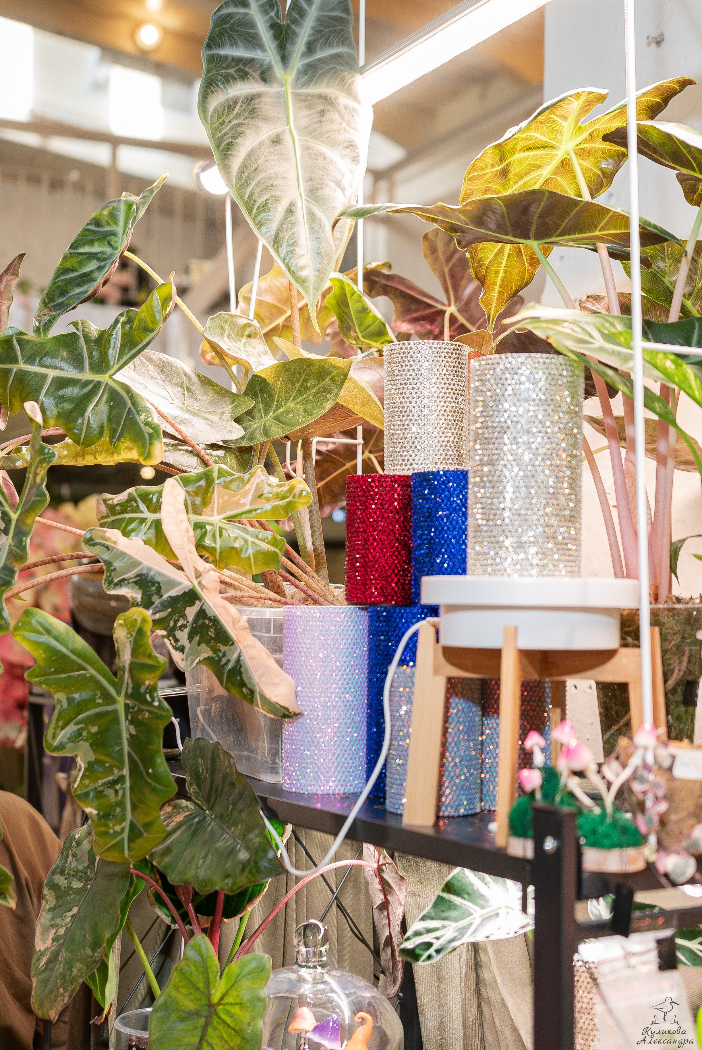 Гроубокс Артплей апрель. Александра Куликова фотограф, Москва