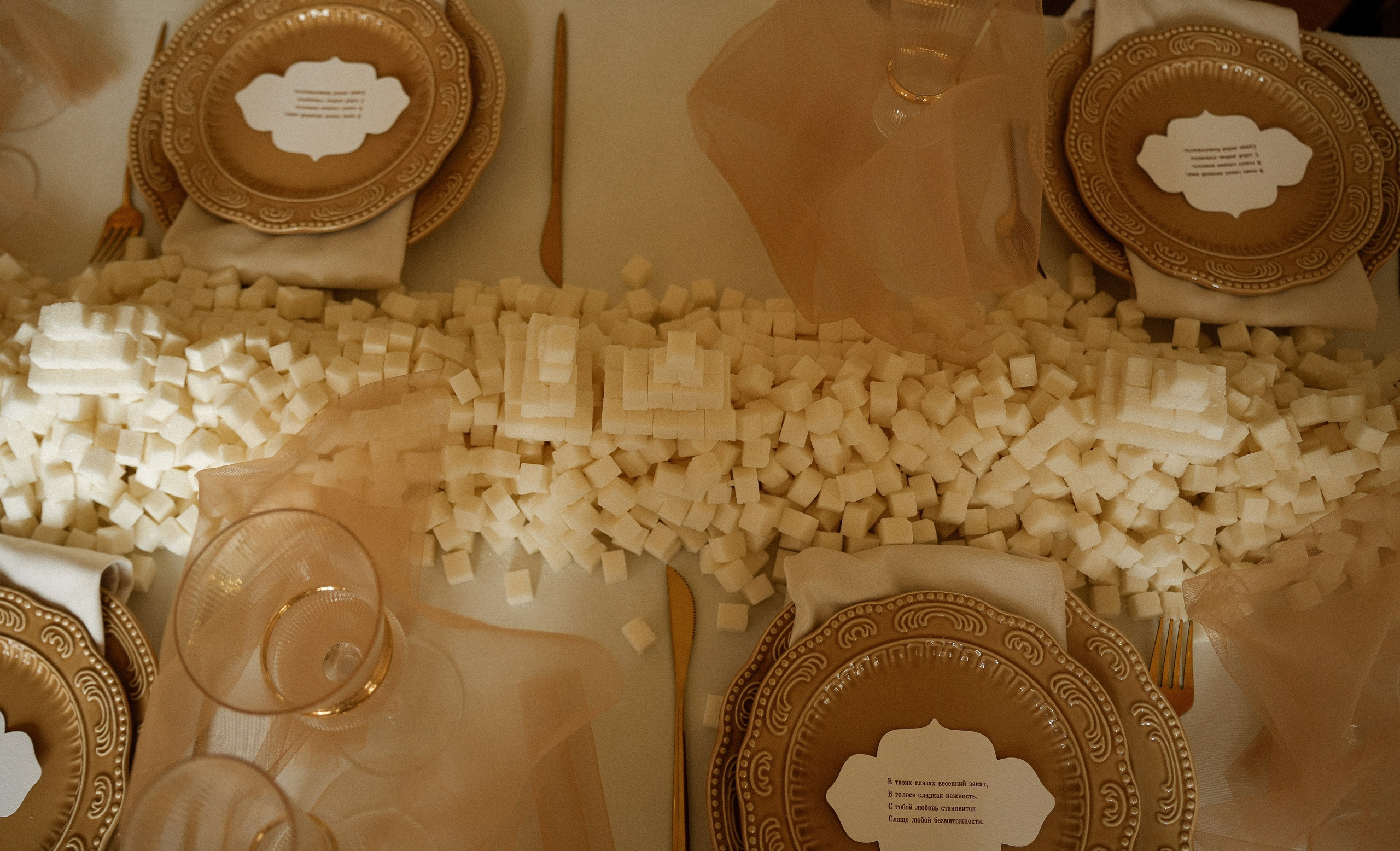 The story of the mansion. Свадебный фотограф и видеограф в Ростове-на-Дону. Максим и Наталья Лебедевы