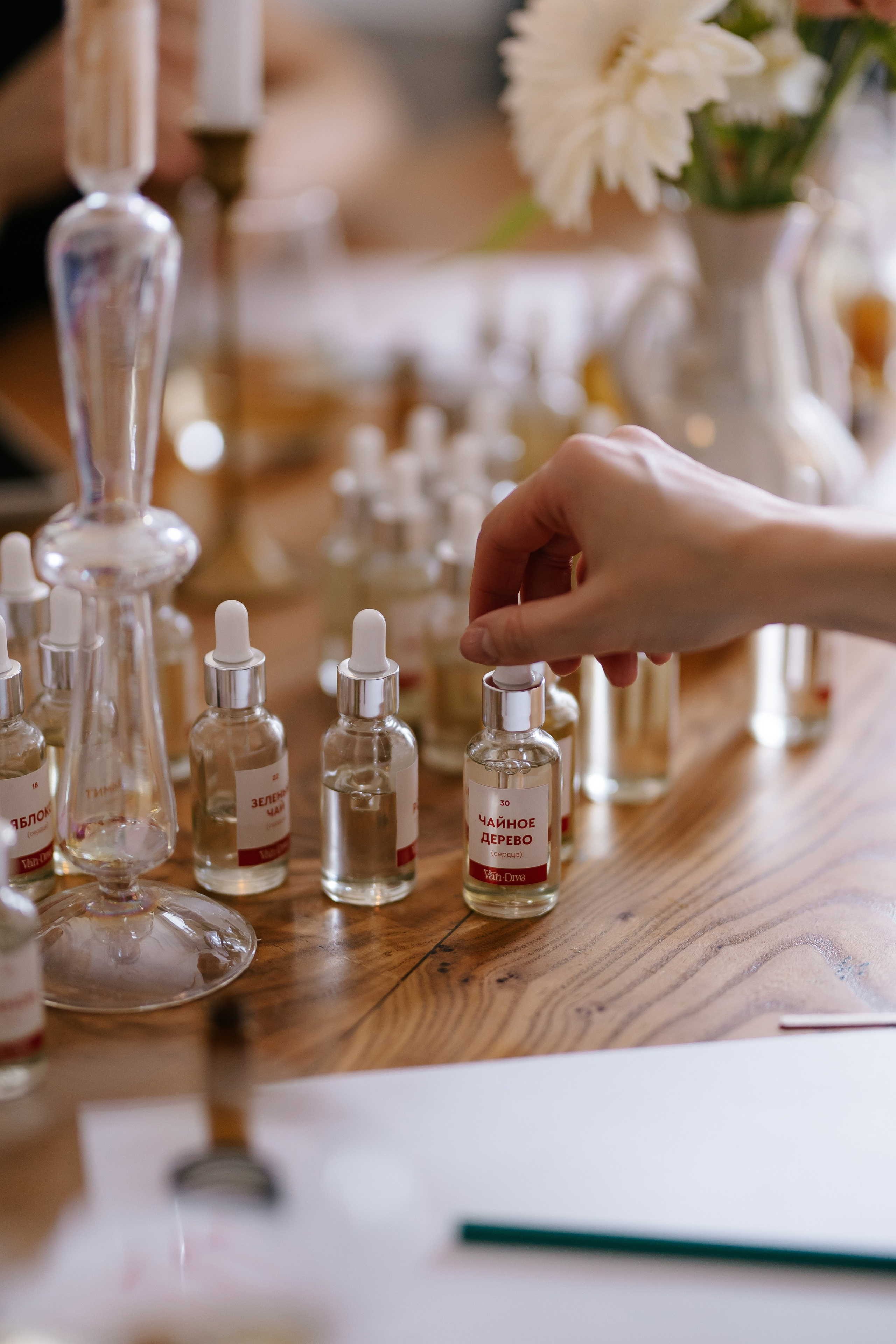 День рождения в Доме Липы. Анастасия Мелёхина Фотограф Москва, Свадебный фотограф Москва