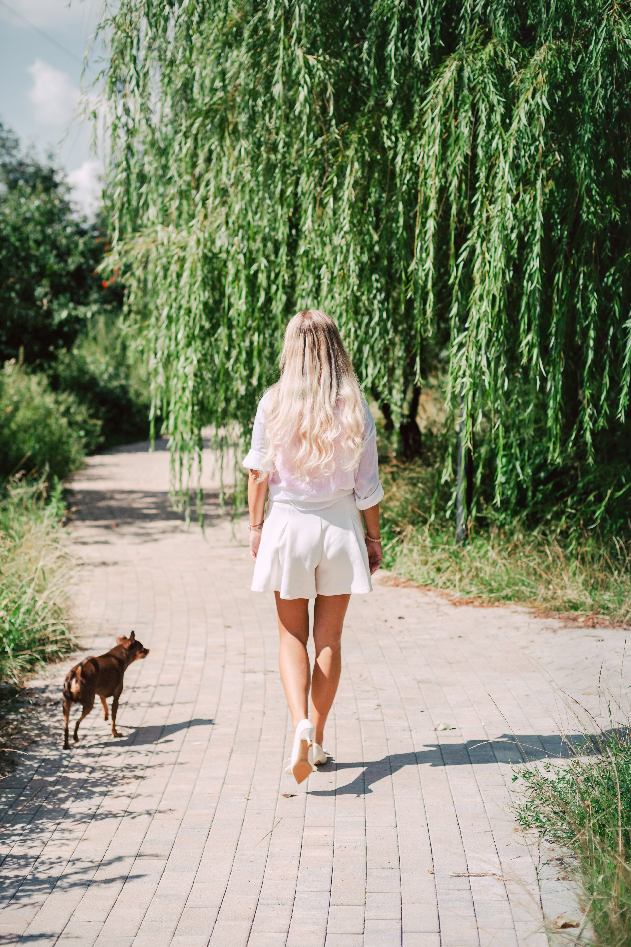 Восточный мост. Фотограф-анималист Татьяна Степанова