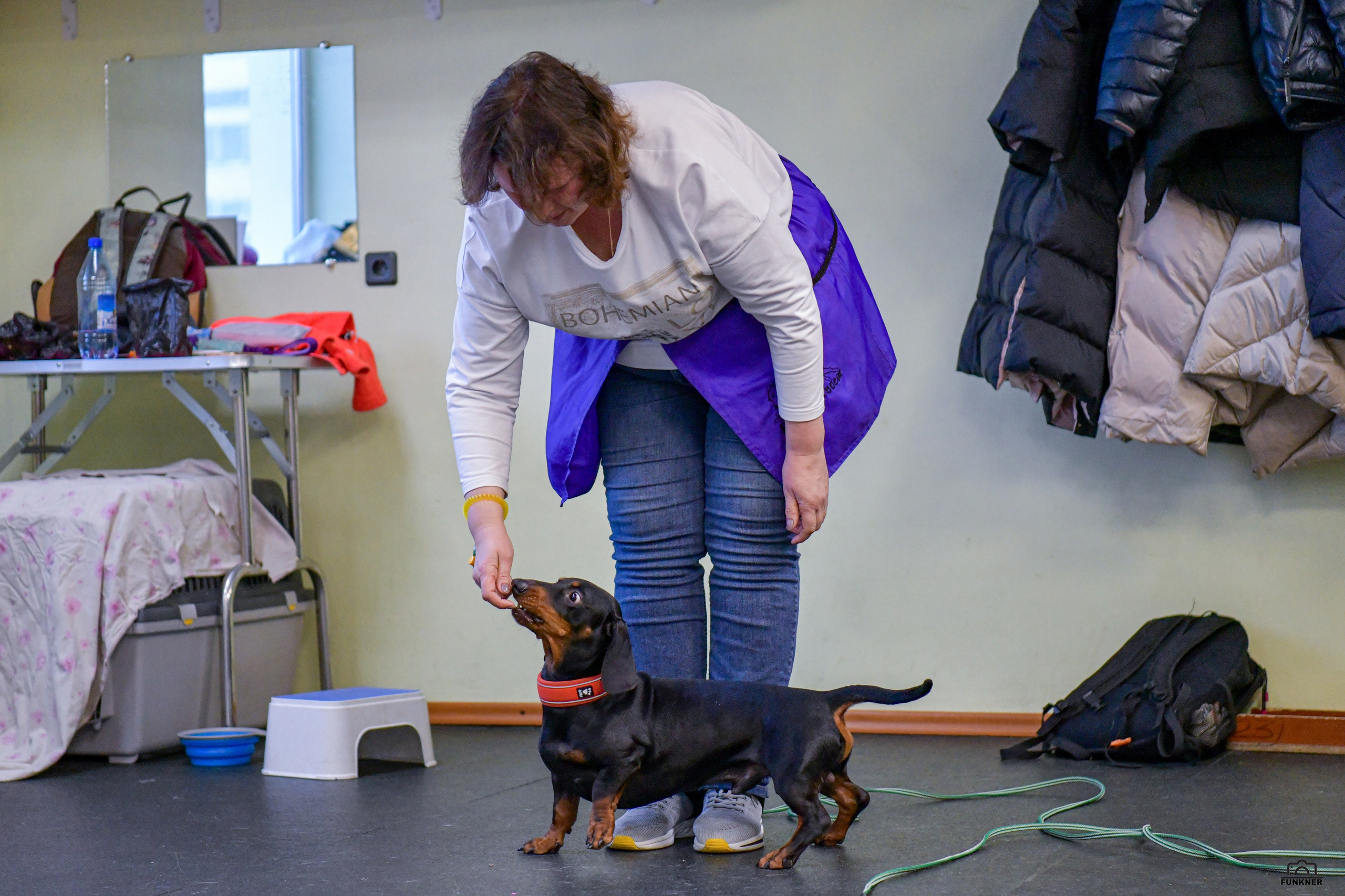 Кинологический клуб «Бодрый хвост». Свой взгляд через объектив
